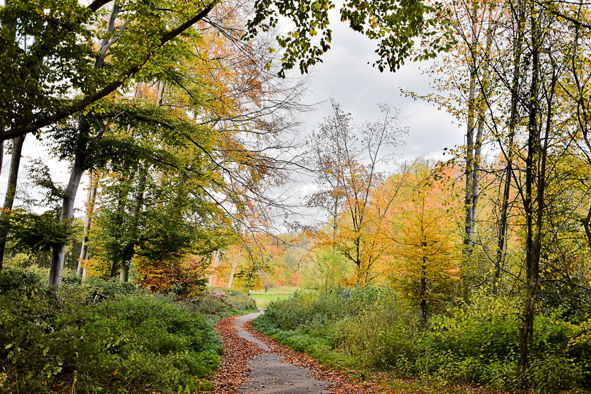 The Broichbachtal in Herzogenrath in autumn, seen from the dist…