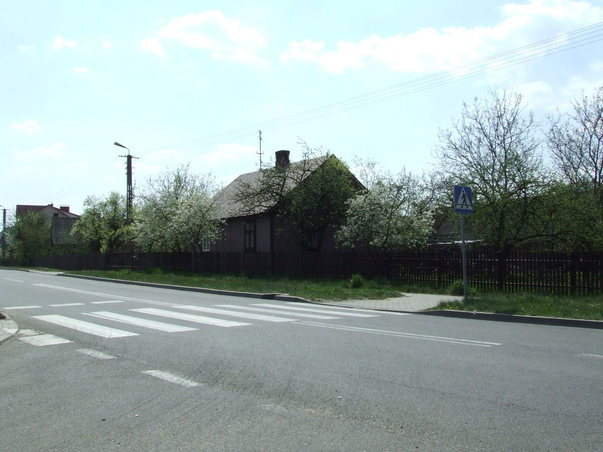 Zamość, gm. Troszyn, powiat ostrołęcki, droga Ostrołęka-Ostrów …