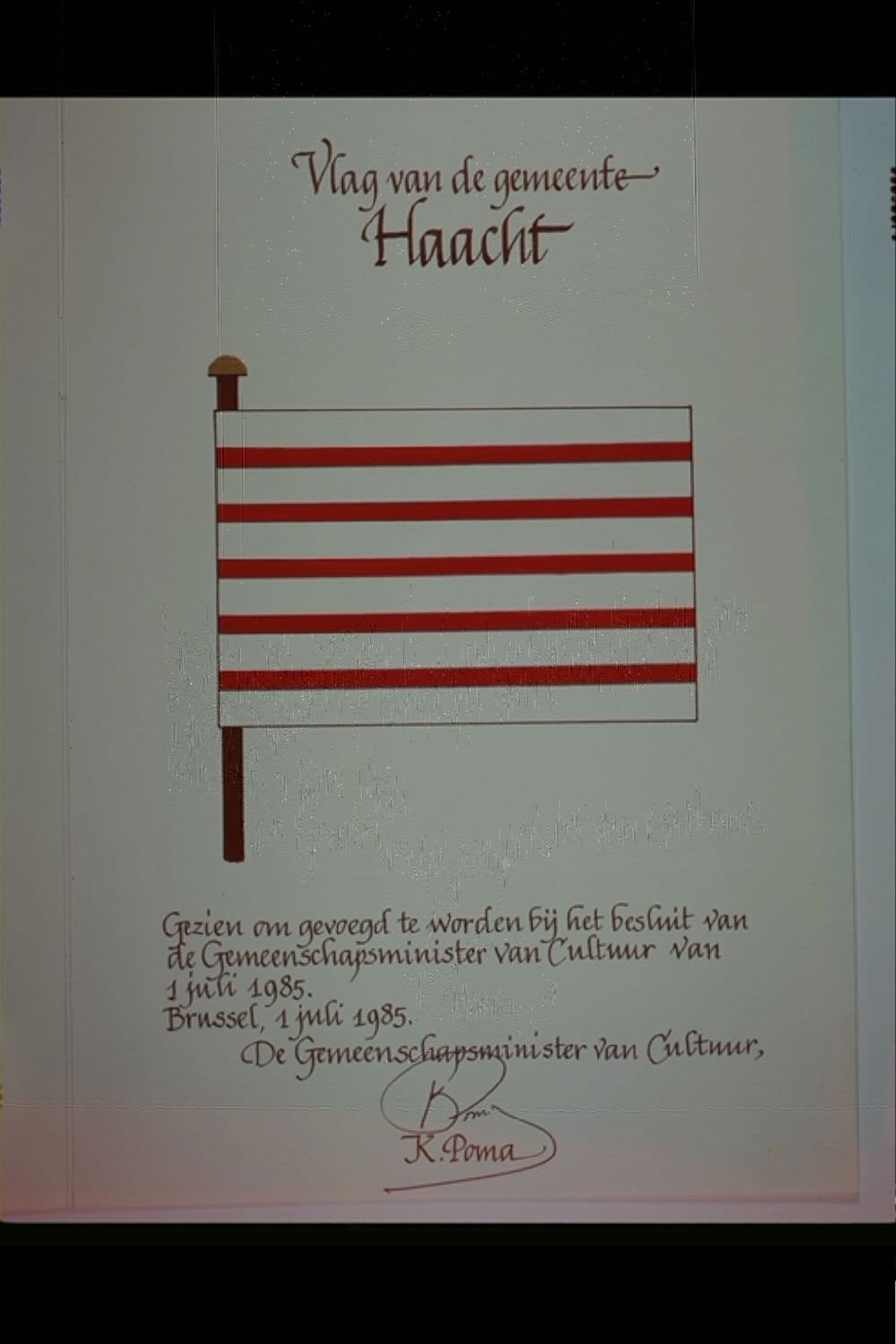 Haacht Vlag