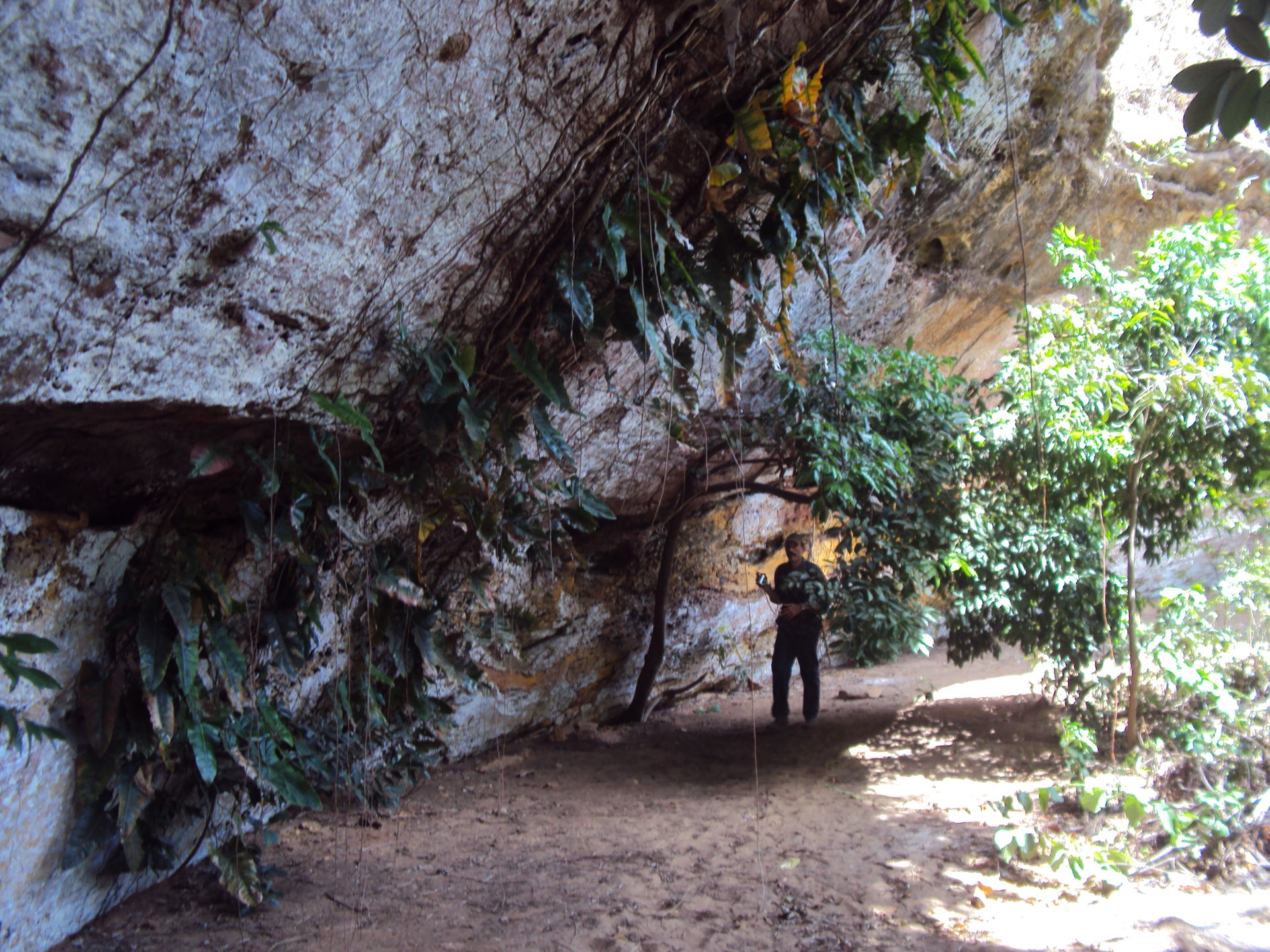 BACUPARI STONE