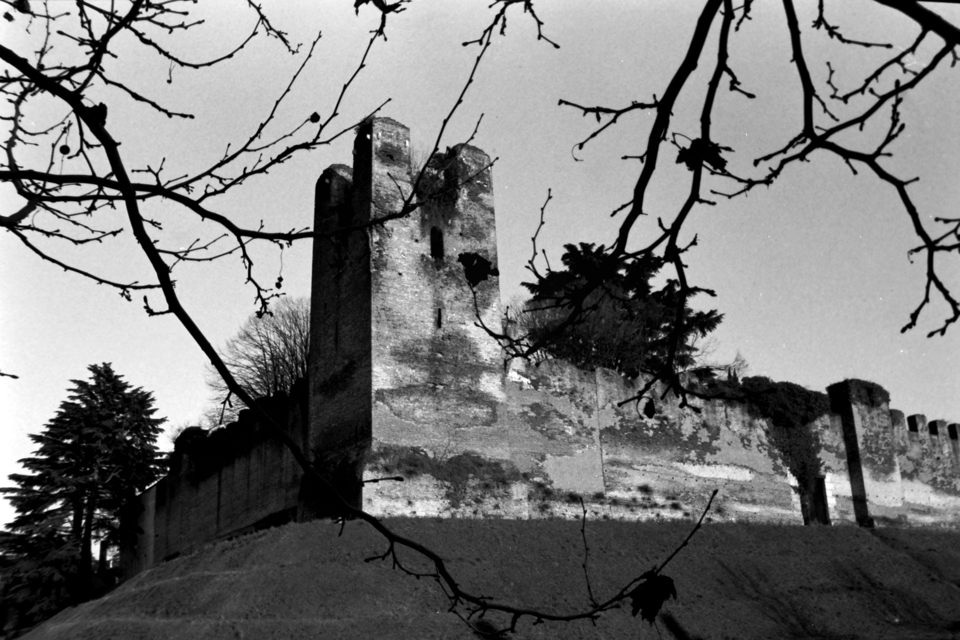 Castelfranco Veneto, 28 febbraio 1995.