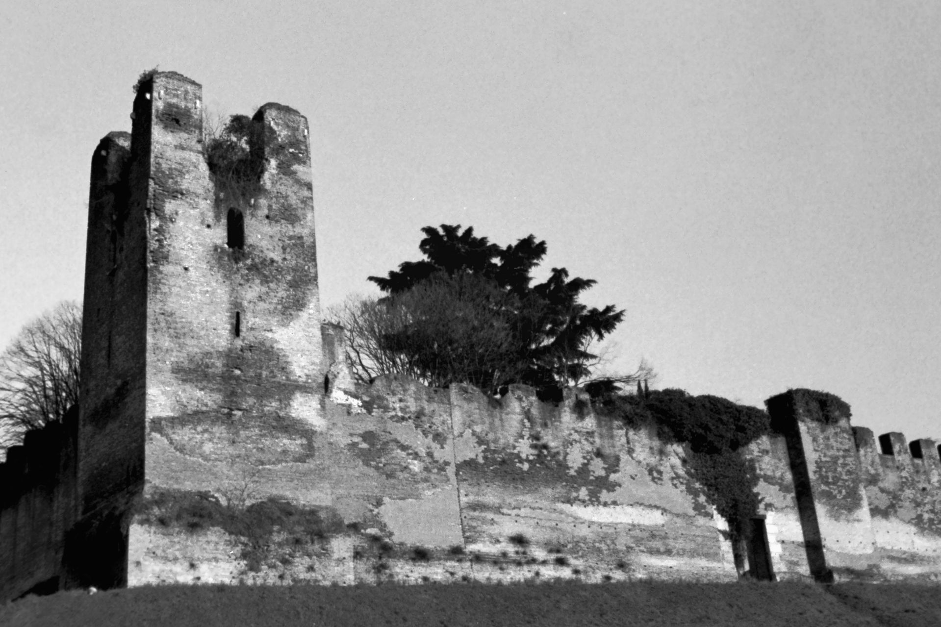 Castelfranco Veneto, 28 febbraio 1995.