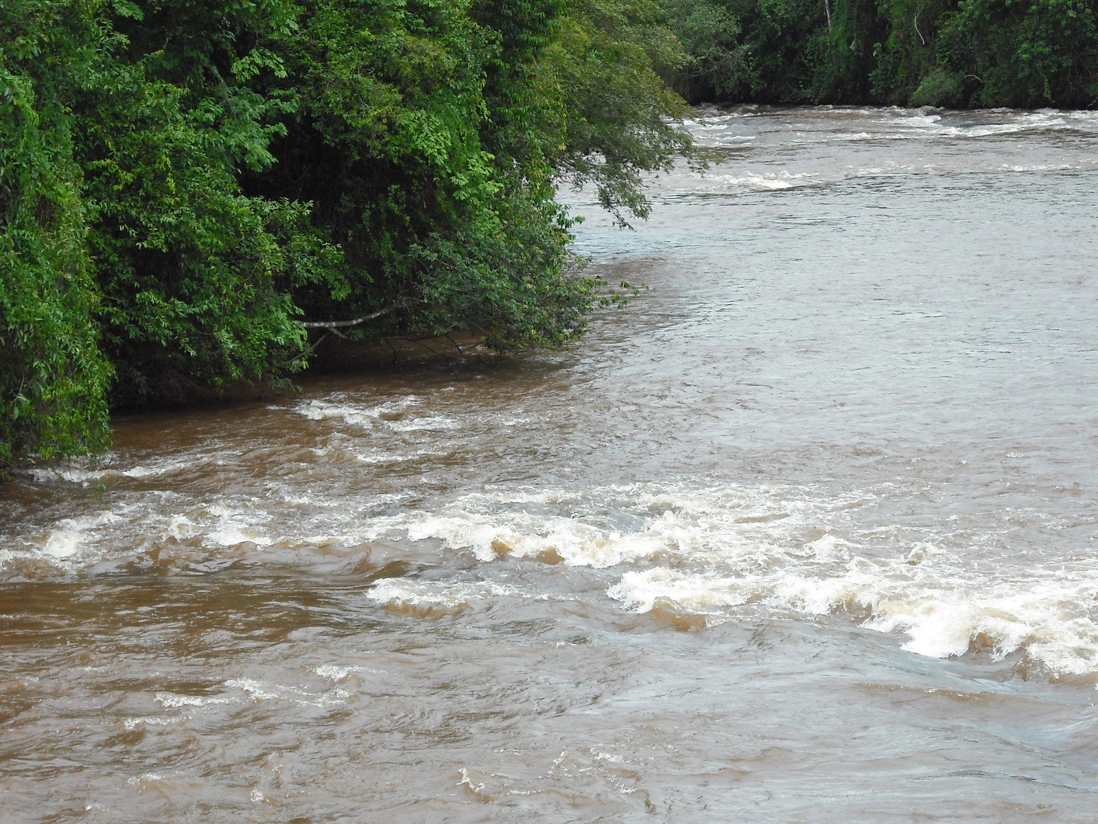 Rio Verde - Assis Chateaúbriand - Paraná, Brasil - 75