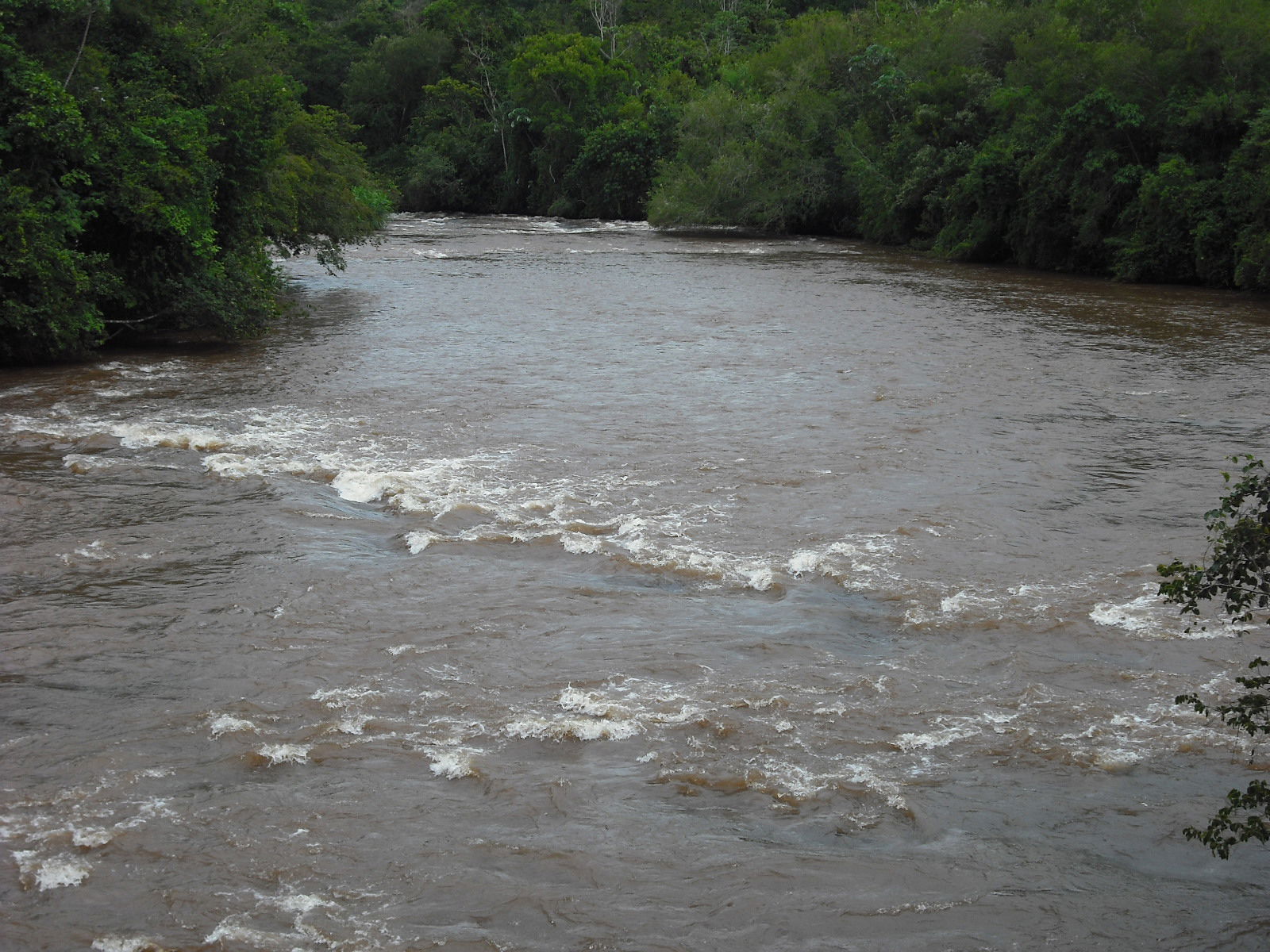 Rio verde - Assis Chateaúbriand - Paraná, Brasil - 54