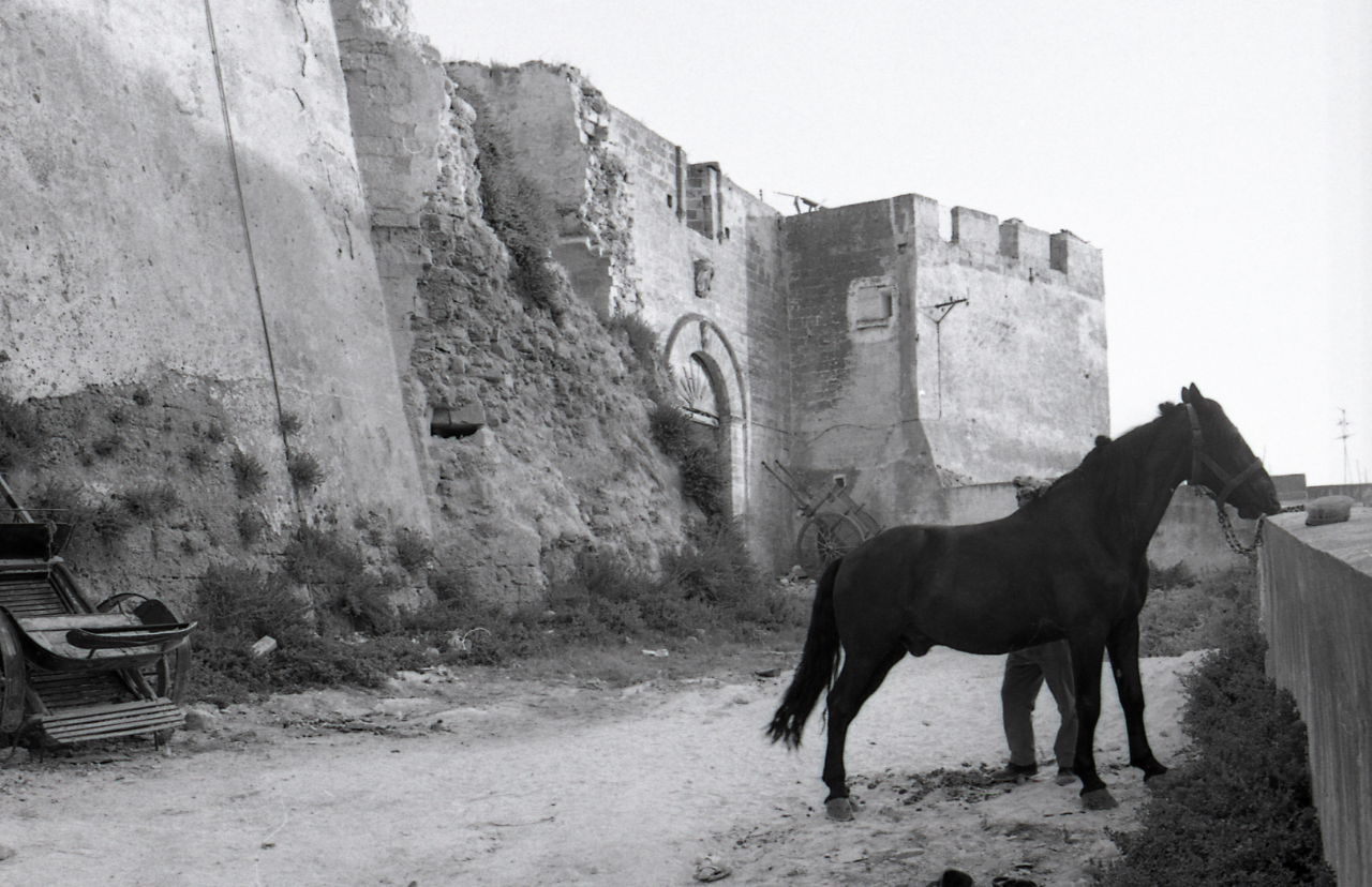 Servizio fotografico : Massafra, 1970 / Paolo Monti. - Strisce:…