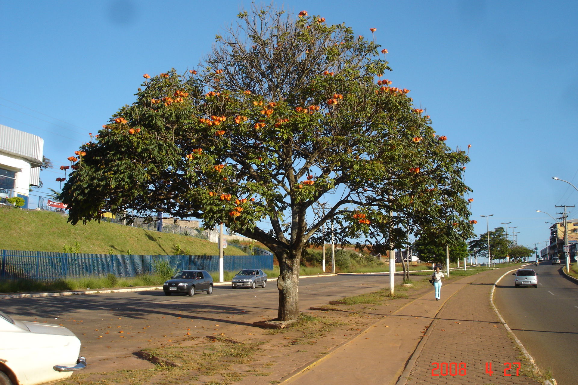 Ouro Branco, State of Minas Gerais, Brazil