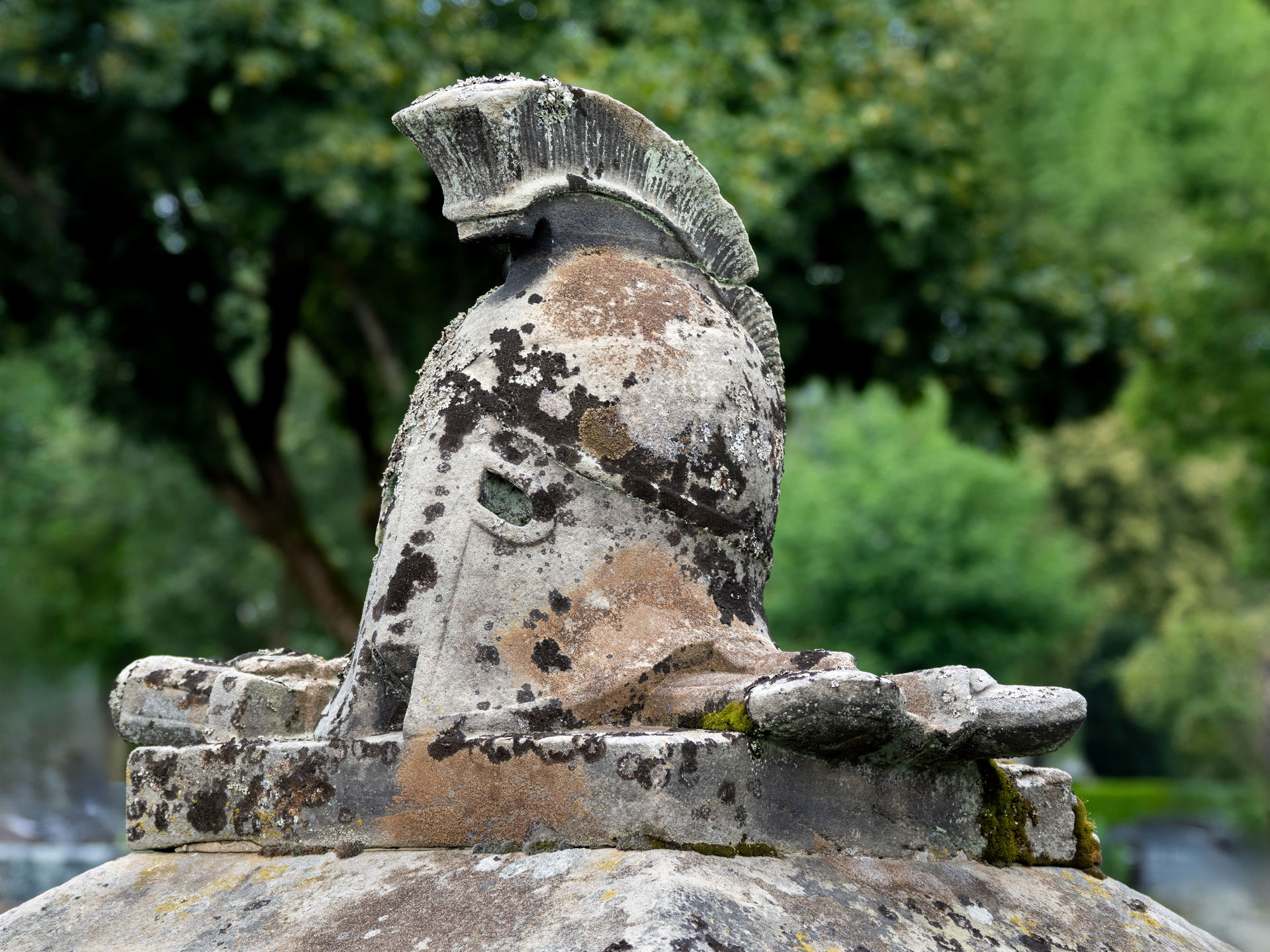 Detail of a gravestone with the depiction of an ancient helmet …