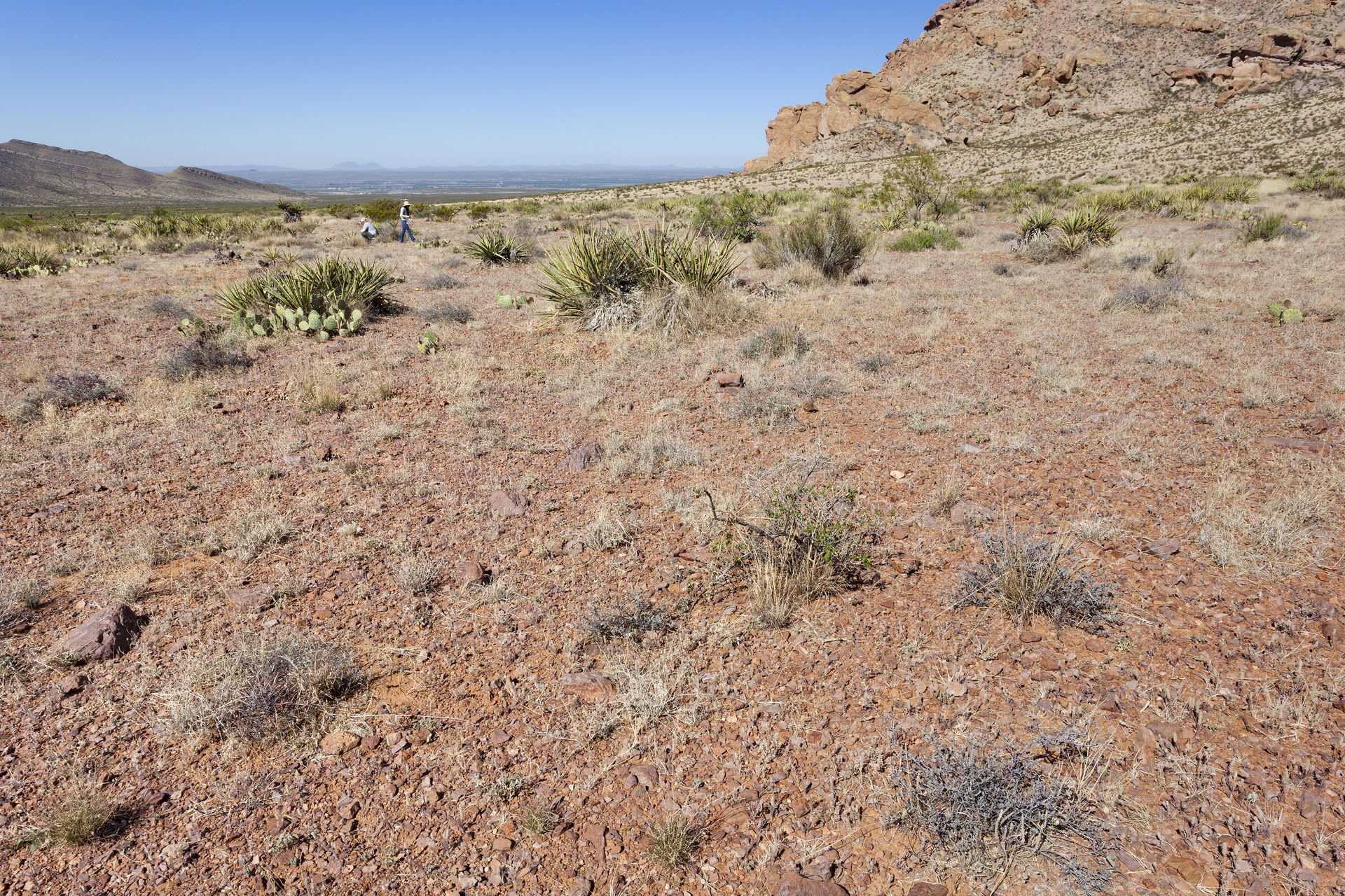 Southwestern bajada of the Organ Mountains, east-northeast of P…