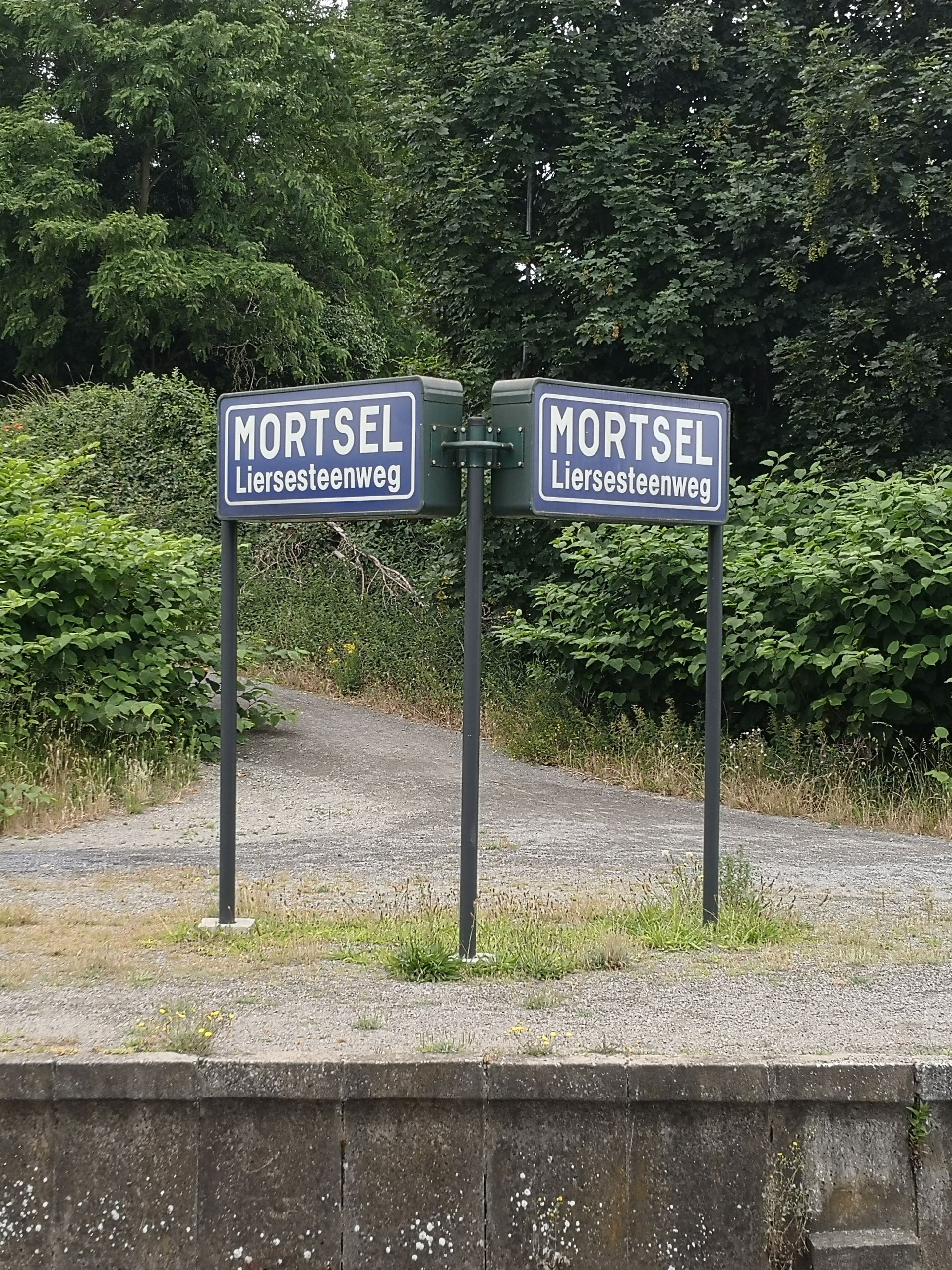 Foto van het station Mortsel-Liersesteenweg in 2020.