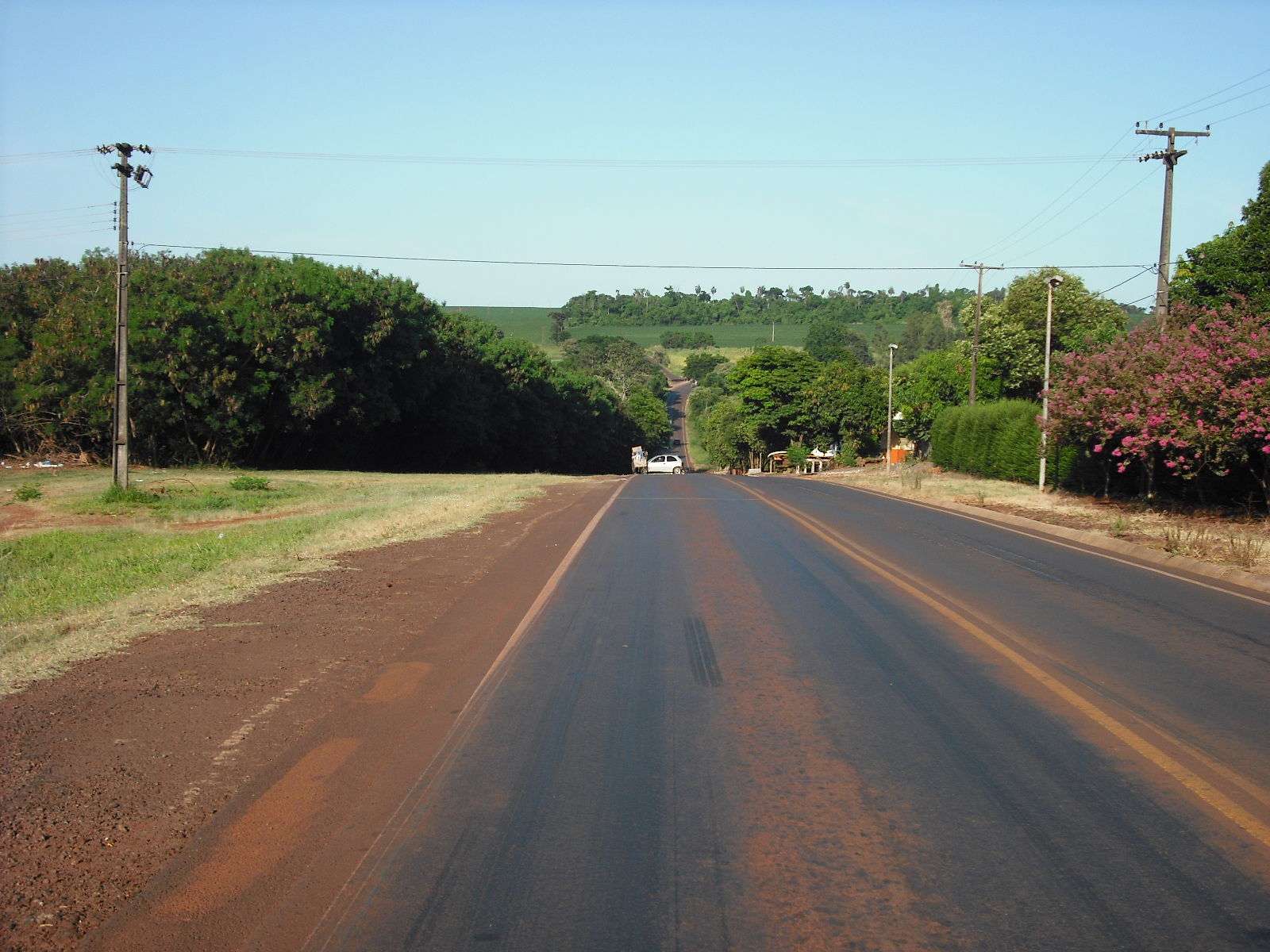 Palotina - PR, Brasil - 87