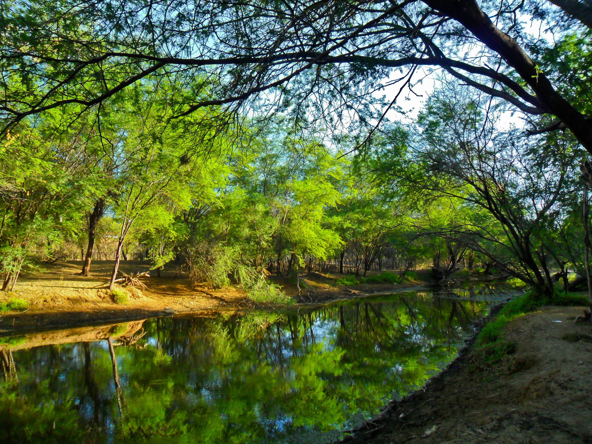 O Rio Piauí devido ao assoreamento em suas margens e também a f…