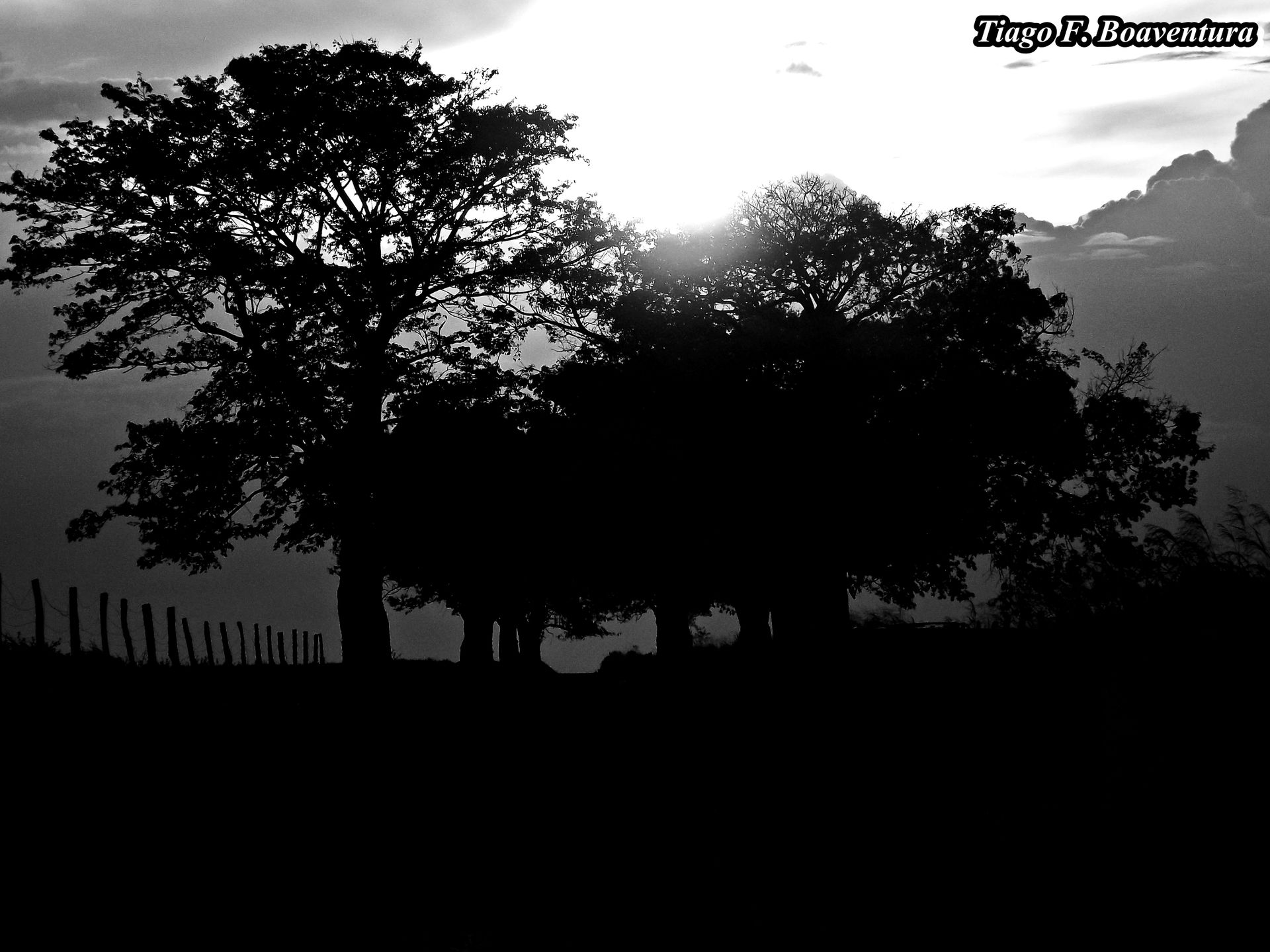 Goiatuba - State of Goiás, Brazil
