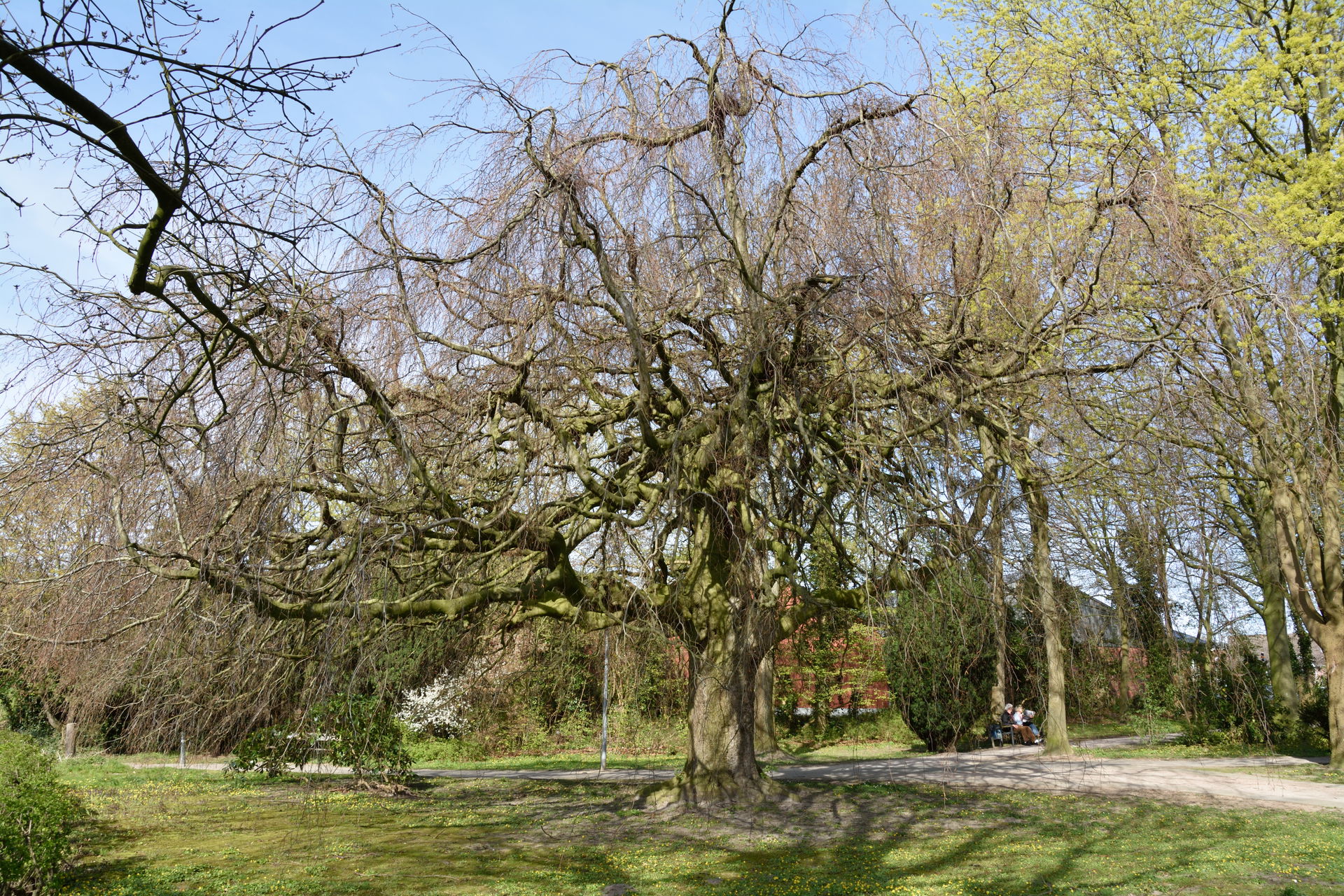 This image was uploaded as part of Wiki Loves Earth 2015.