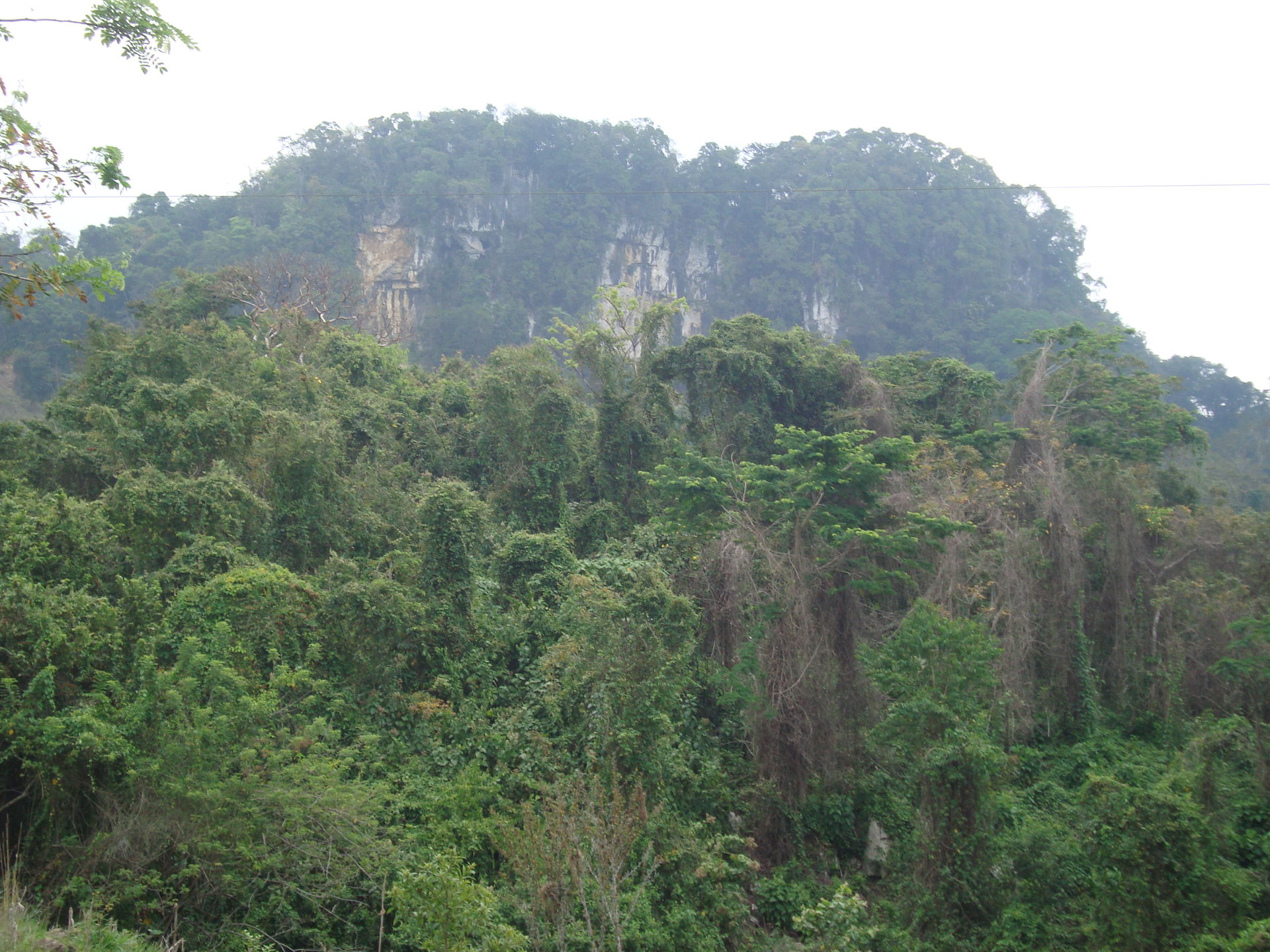 Cerro en la Reserva Ecológica de Agua Blanca. Municipio de Macu…