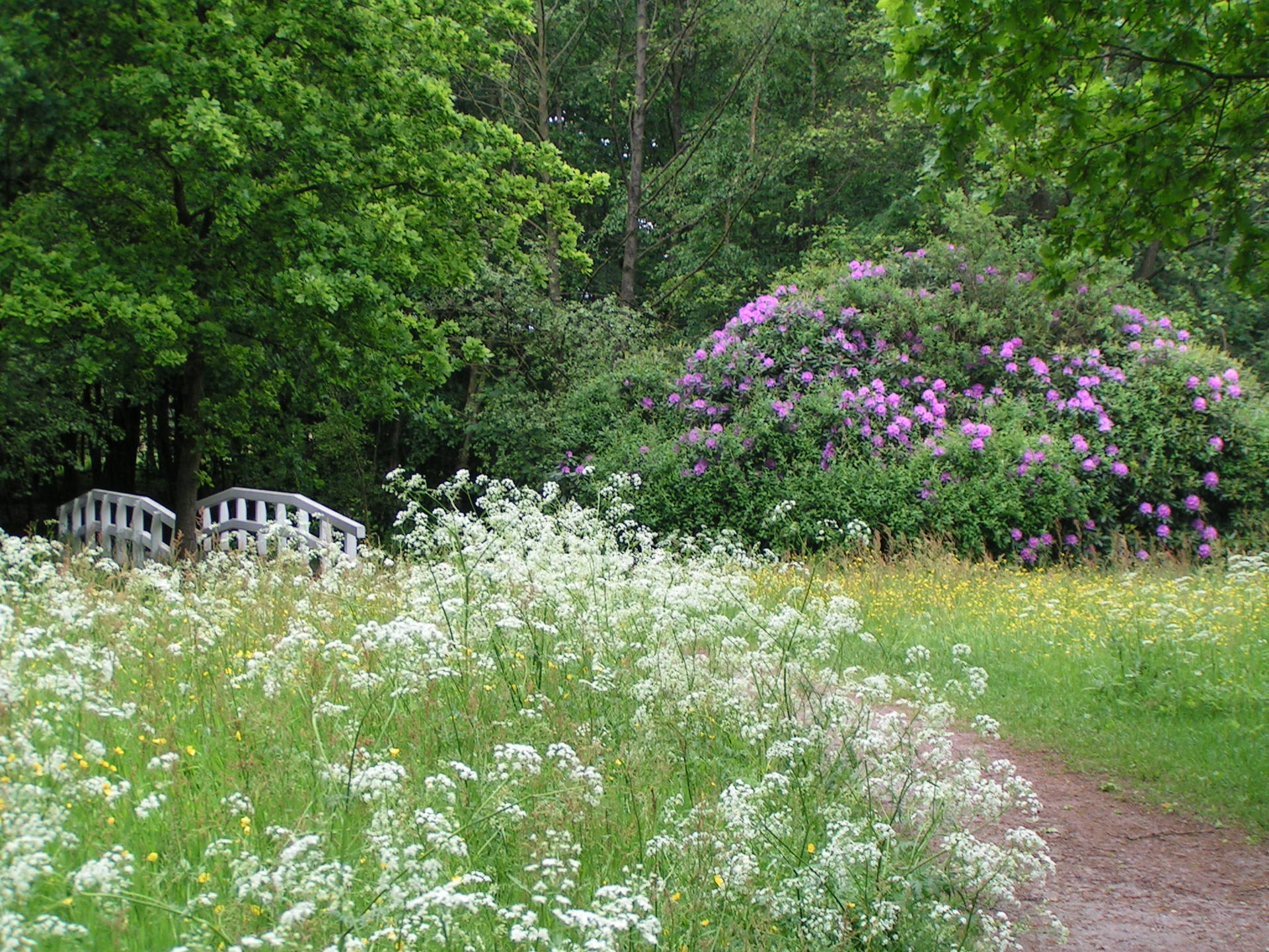 Park Immentun in Vechta