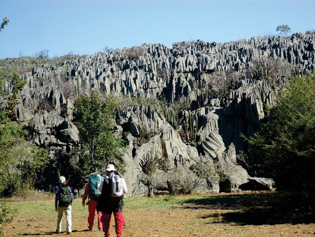 Limestone outcrops with pastures from Serra do Ramalho, Bahia s…