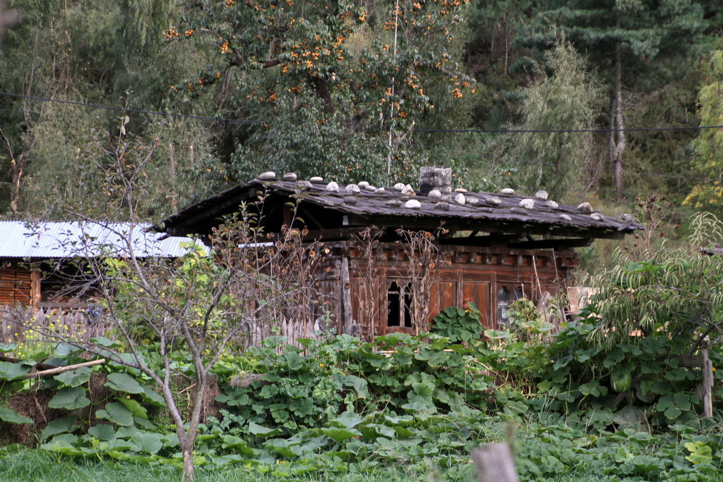 Bumthang