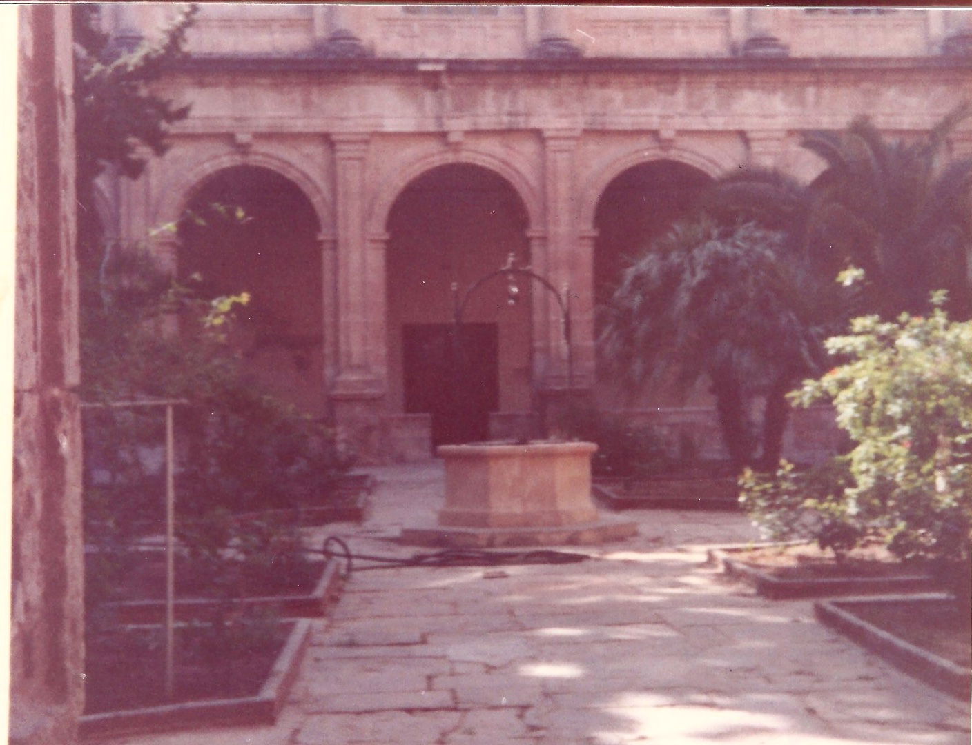 Claustre del convent de Sant Domènec d'Oriola. Abril 1983