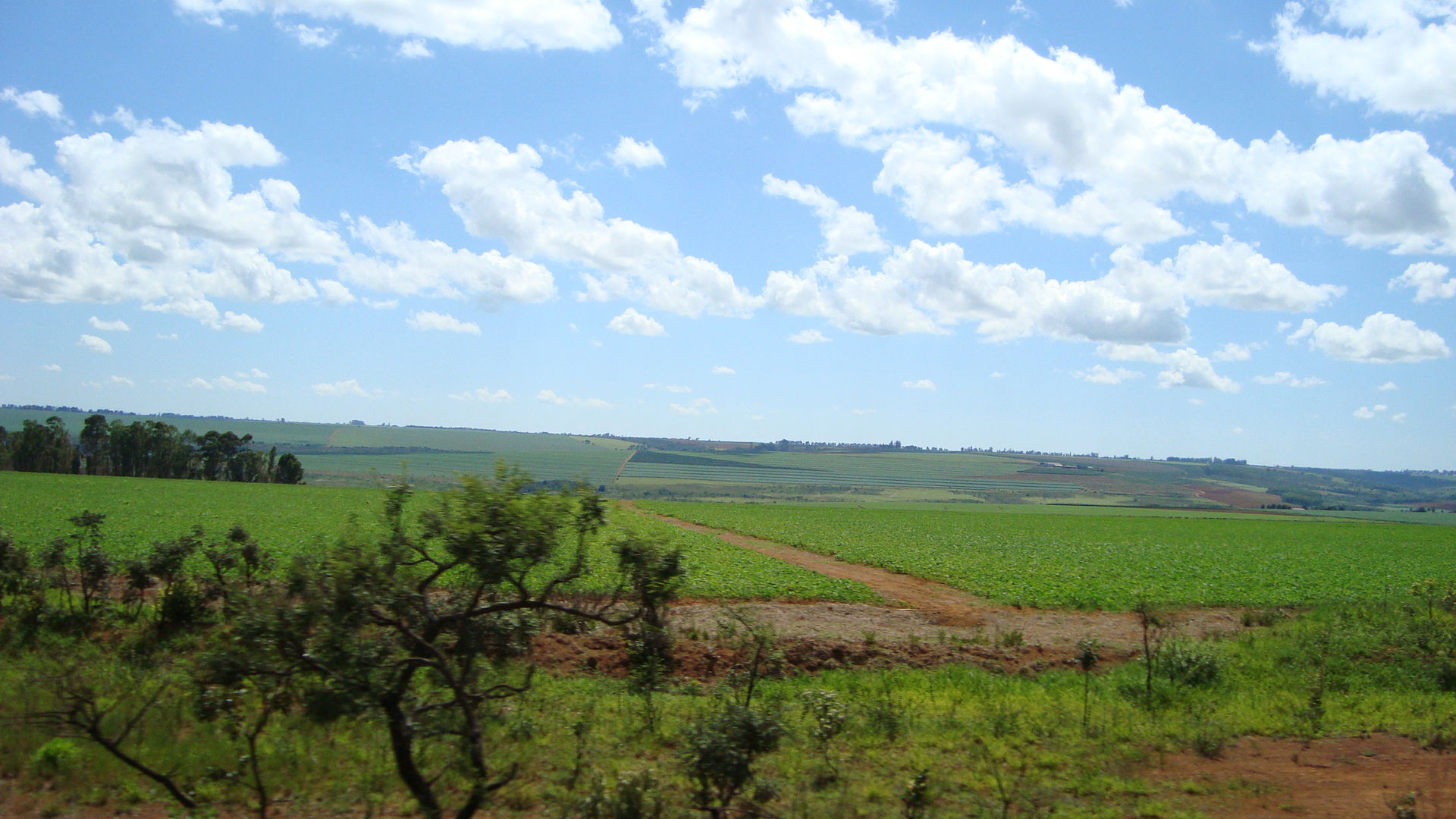 Vista para lavouras na região de São Gotardo.