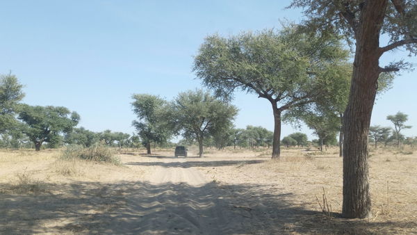 Magaria