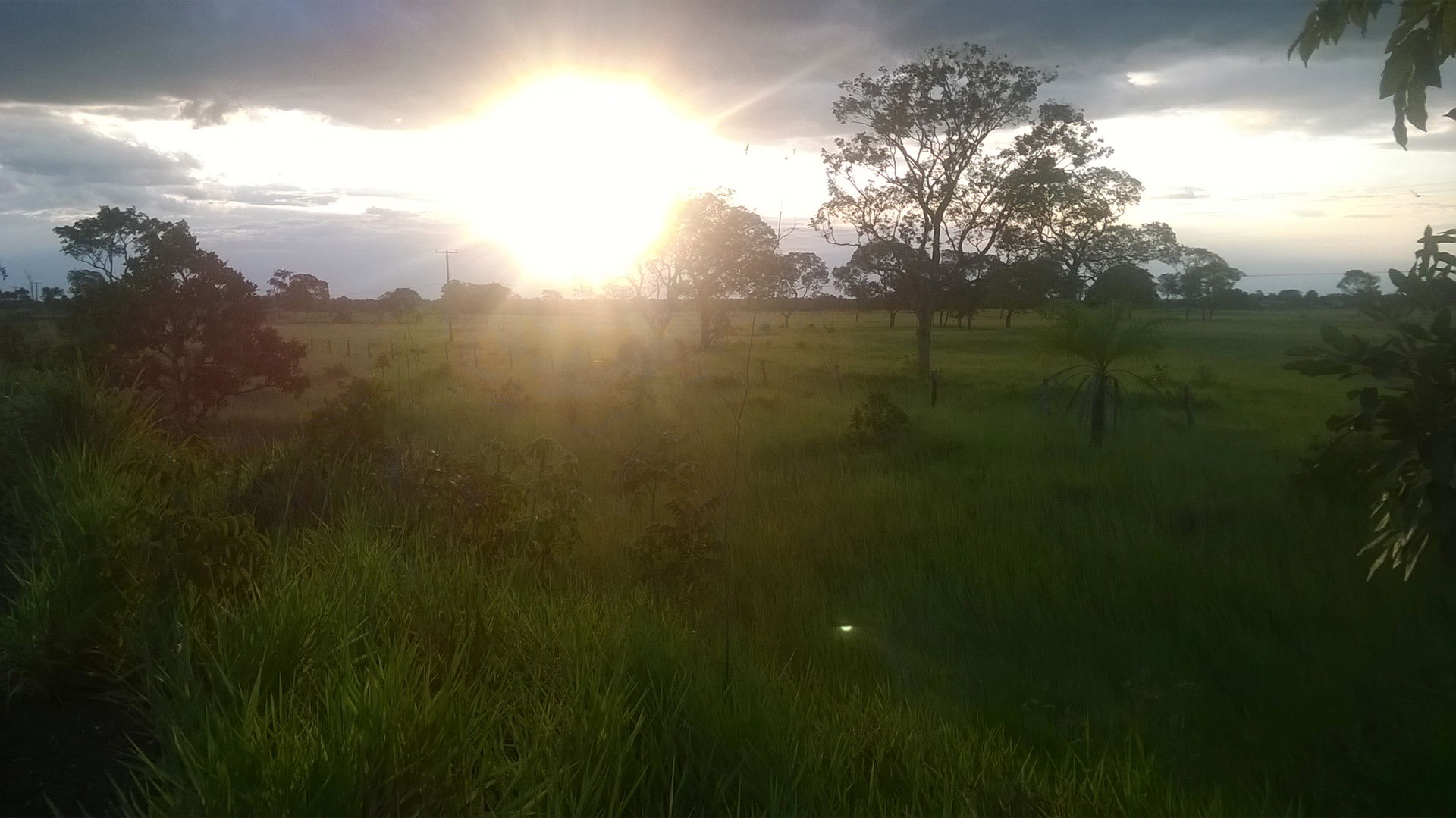 Poconé - State of Mato Grosso, Brazil