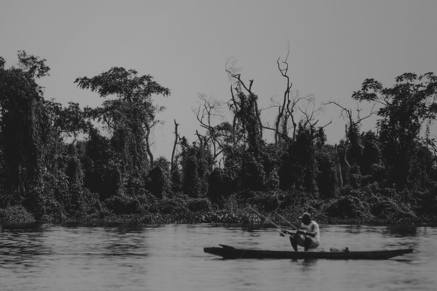 30 de Março de 2013.
Pantanal Mato-Grossense, Rio Cuiabá.
Pocon…