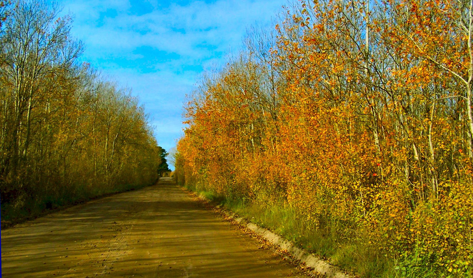 Villa Gesell Partido, Buenos Aires Province, Argentina