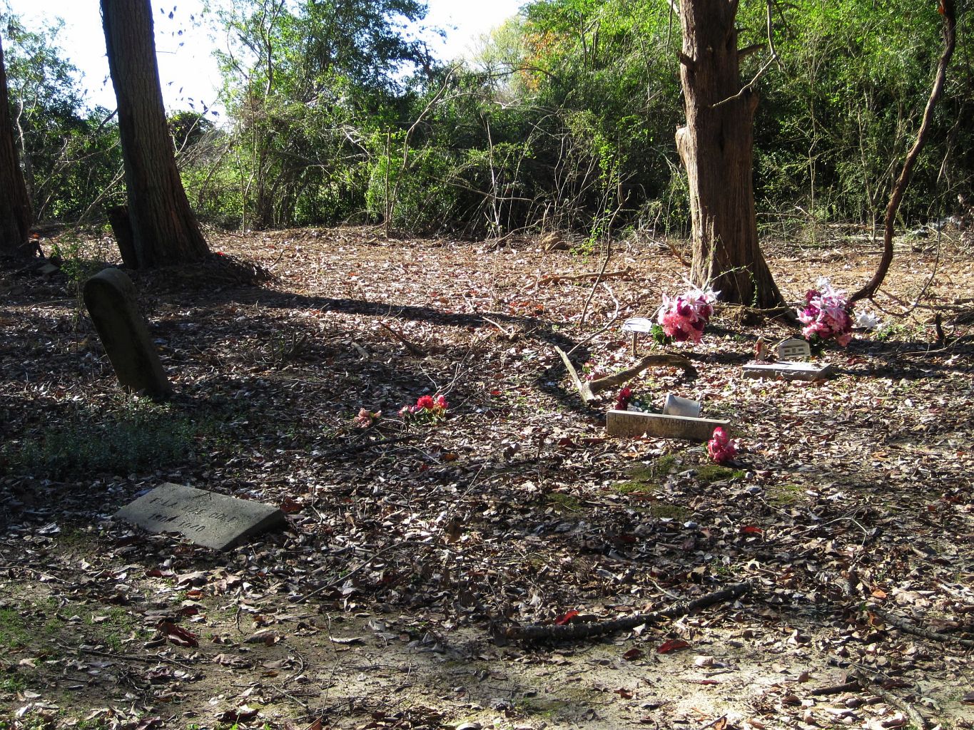Spring Hill Cemetery (Somerville, Tennessee)