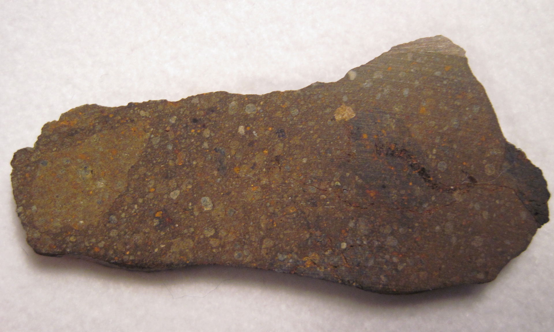 NWA 6394 R3.9 Rumurutiite