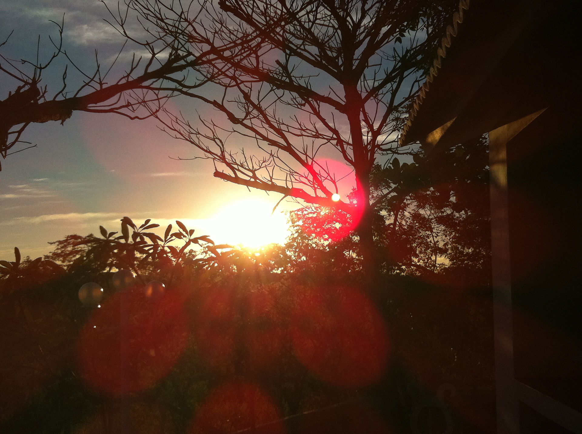 O sertão como nunca antes visto em um final de tarde