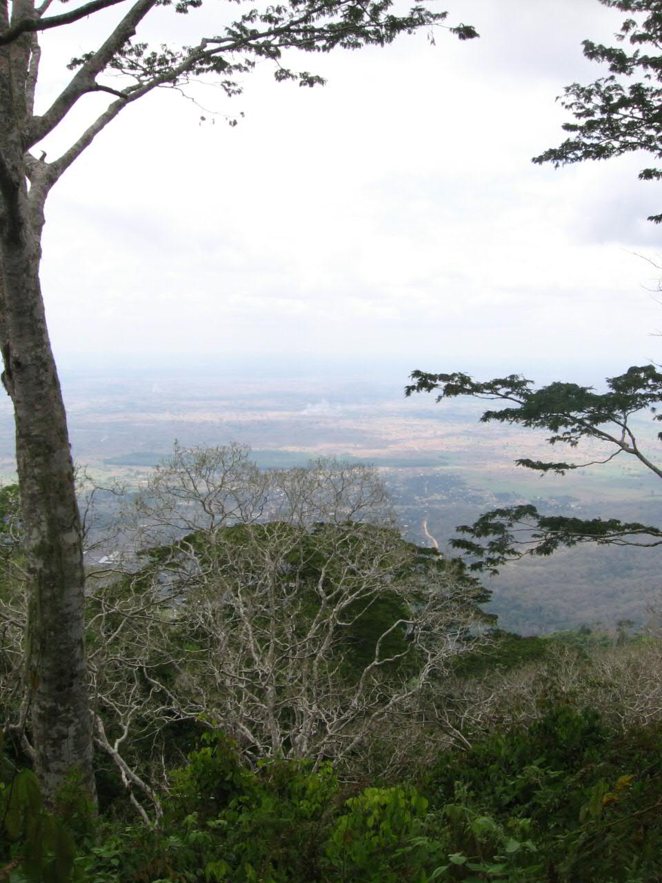 Kilombero Valley, Tanzania. Just next to the Udzungwa mountains…