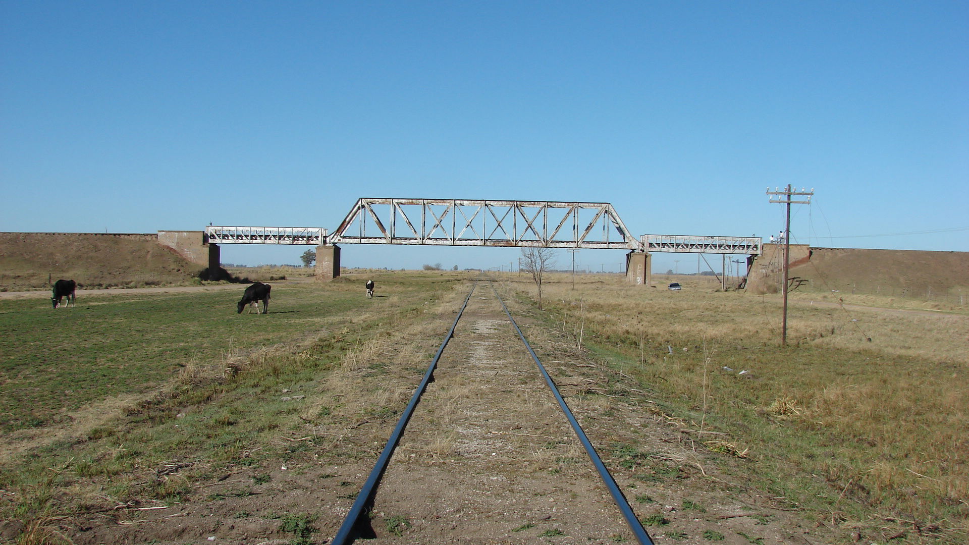 Pehuajó Partido, Buenos Aires Province, Argentina