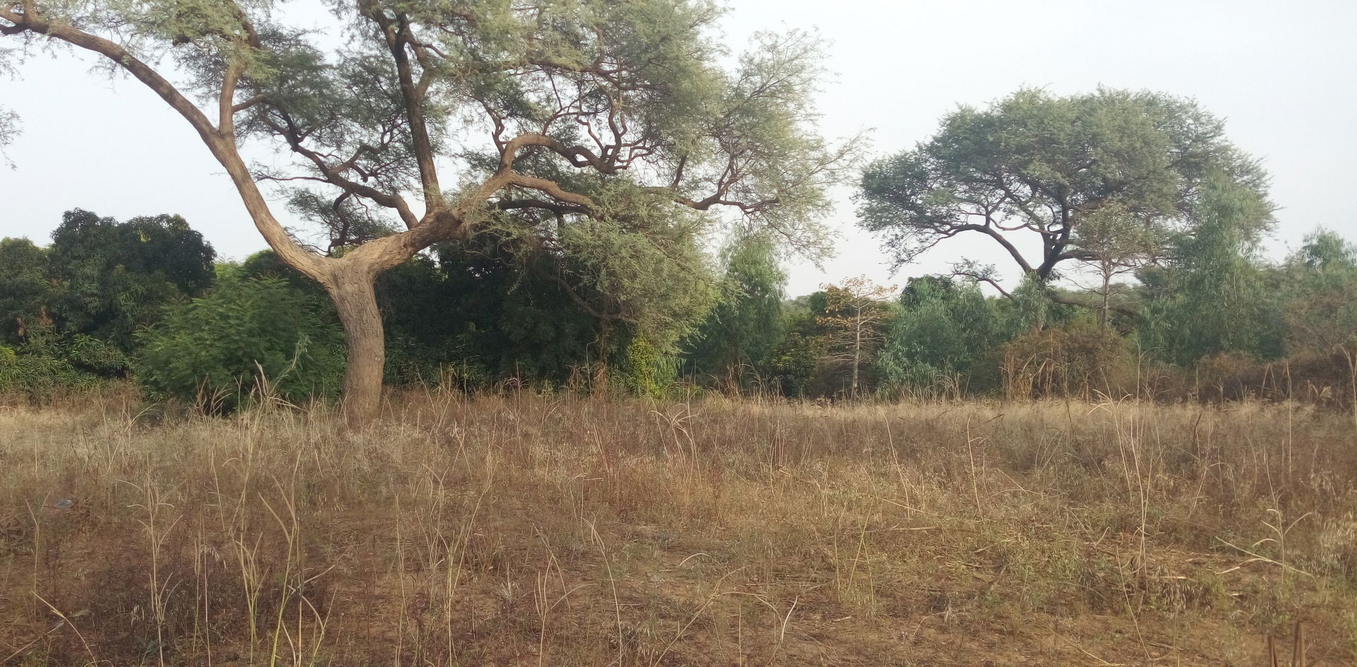 Matamey view 2