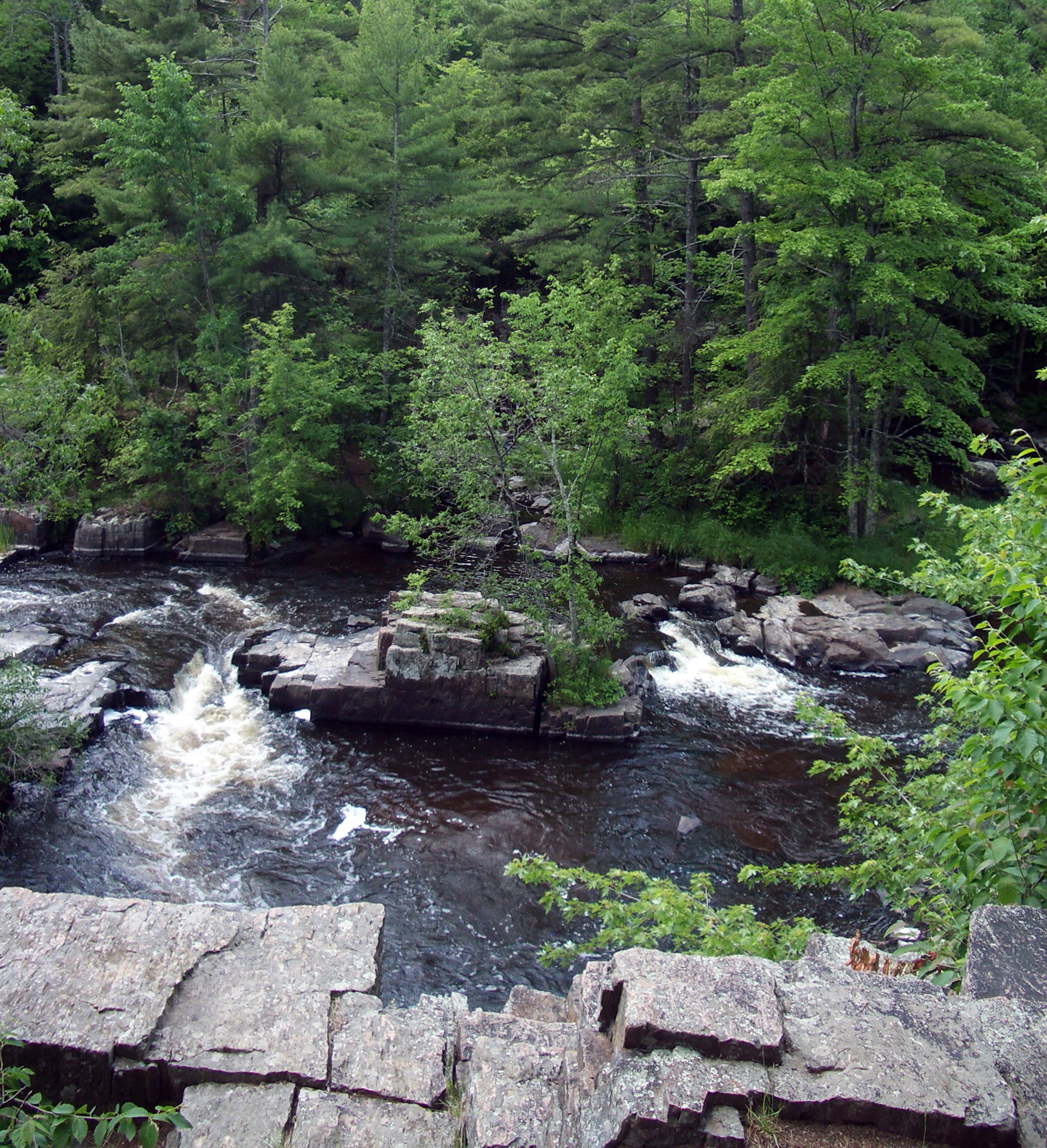 The Dells of the Eau Claire River County Park.