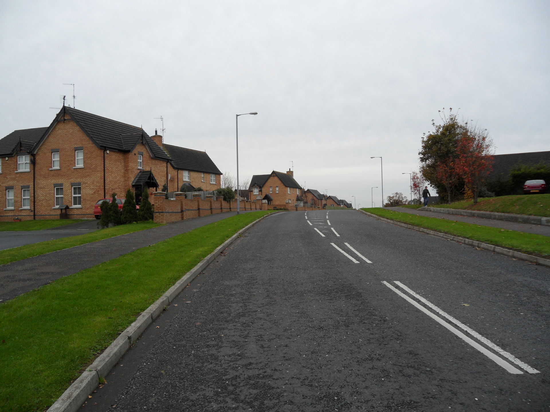 Drumnagoon Road, Craigavon