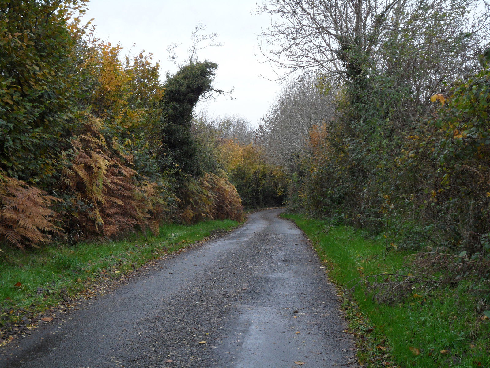Drumnagoon Road, Craigavon