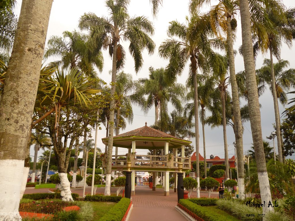 Parque Ignacio Z.