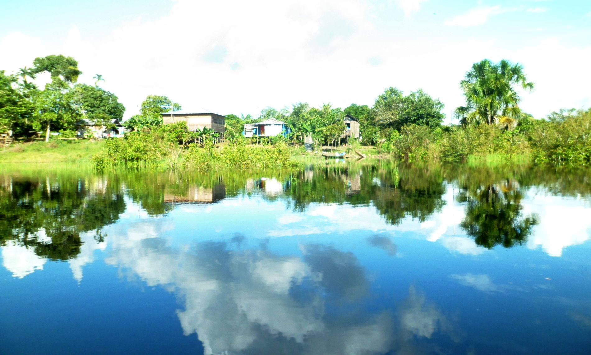 Autazes Lago do Tucunaré Comunidade Santa Luzia Am Brasil