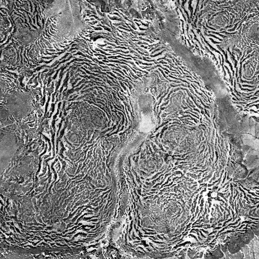 Vertical aerial view of a tiger bush plateau in Niger. Vegetati…