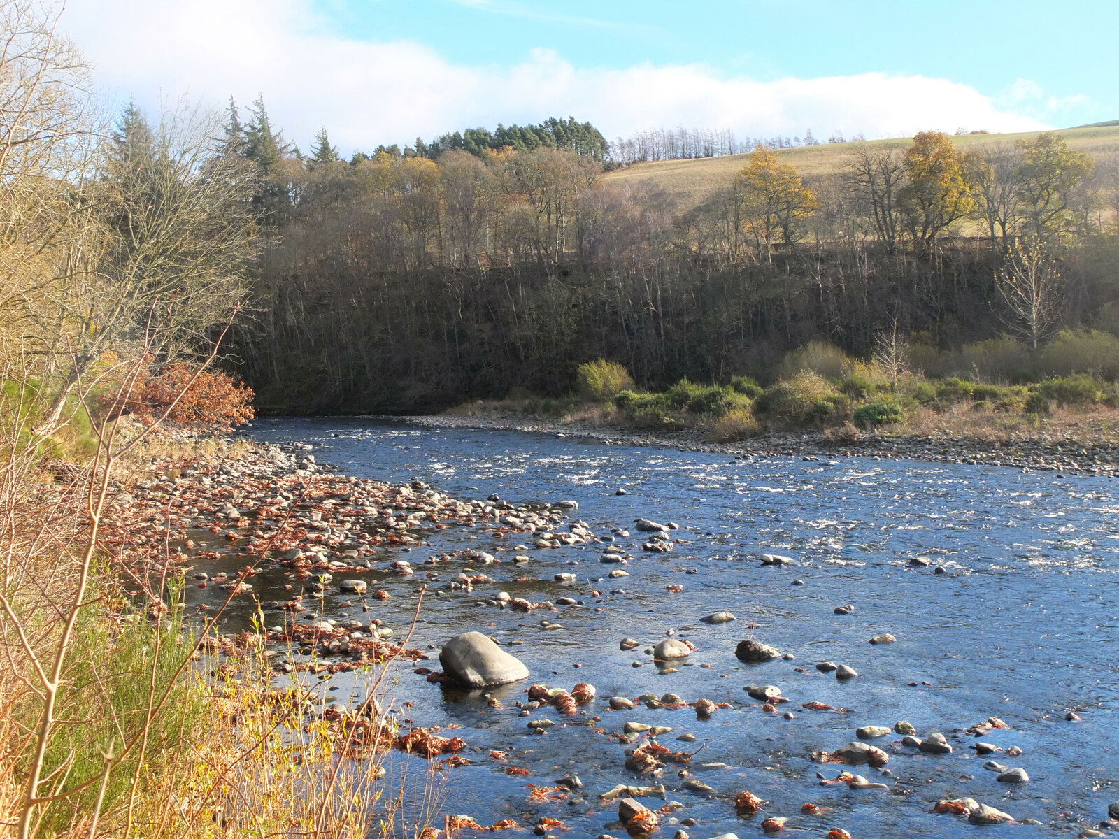 The Ettrick Water near Selkirk