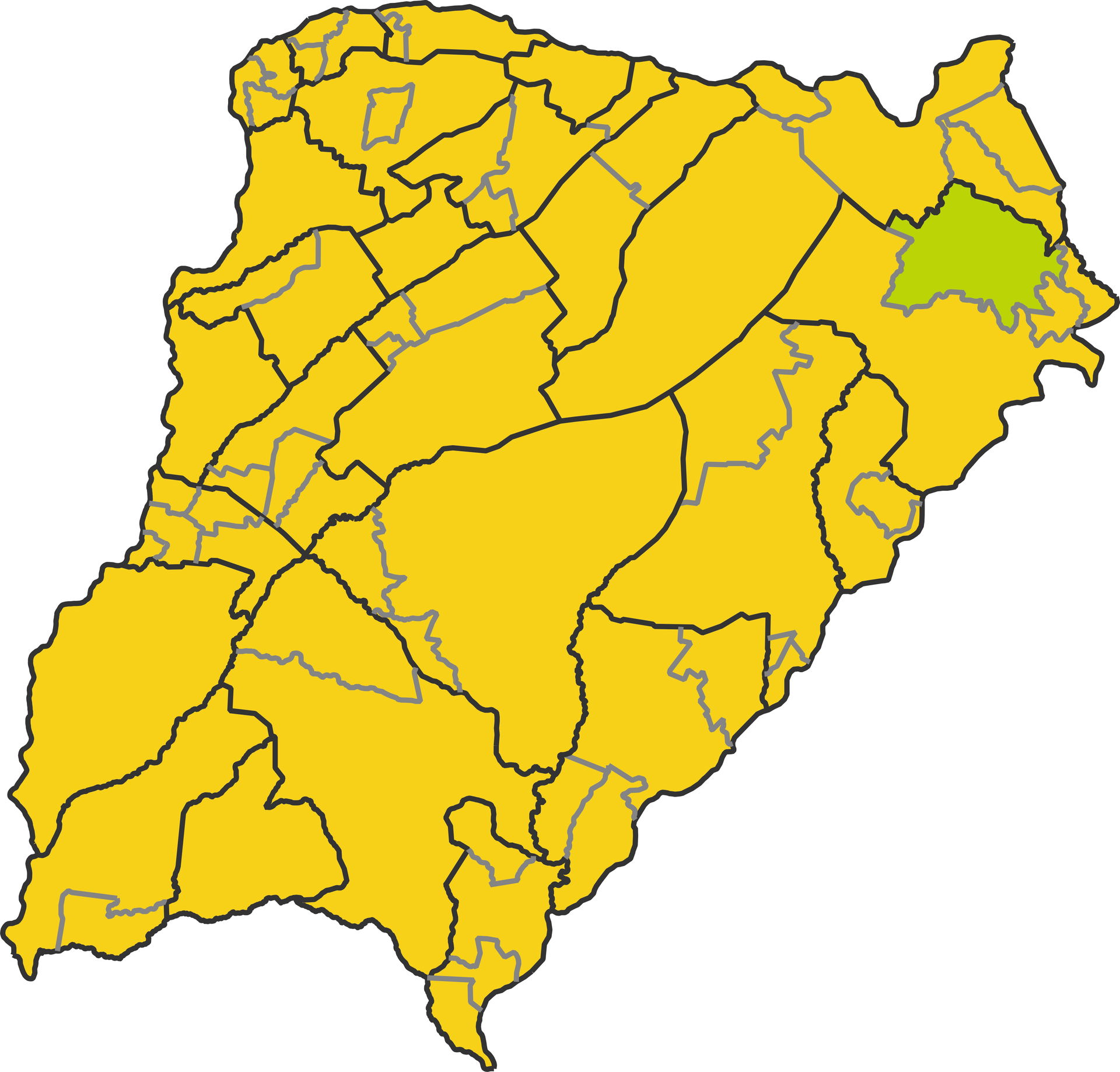 Map of the municipio de Gobernador Viasoro in Santo Tome depart…