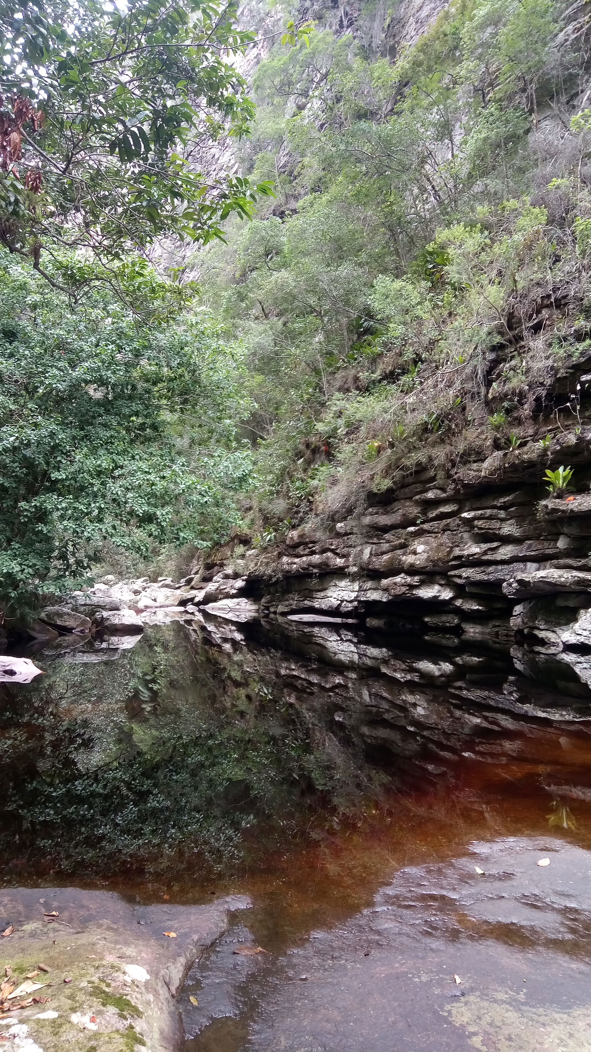 Agua preta por causa da mateira orgânica que infusa nela, é com…