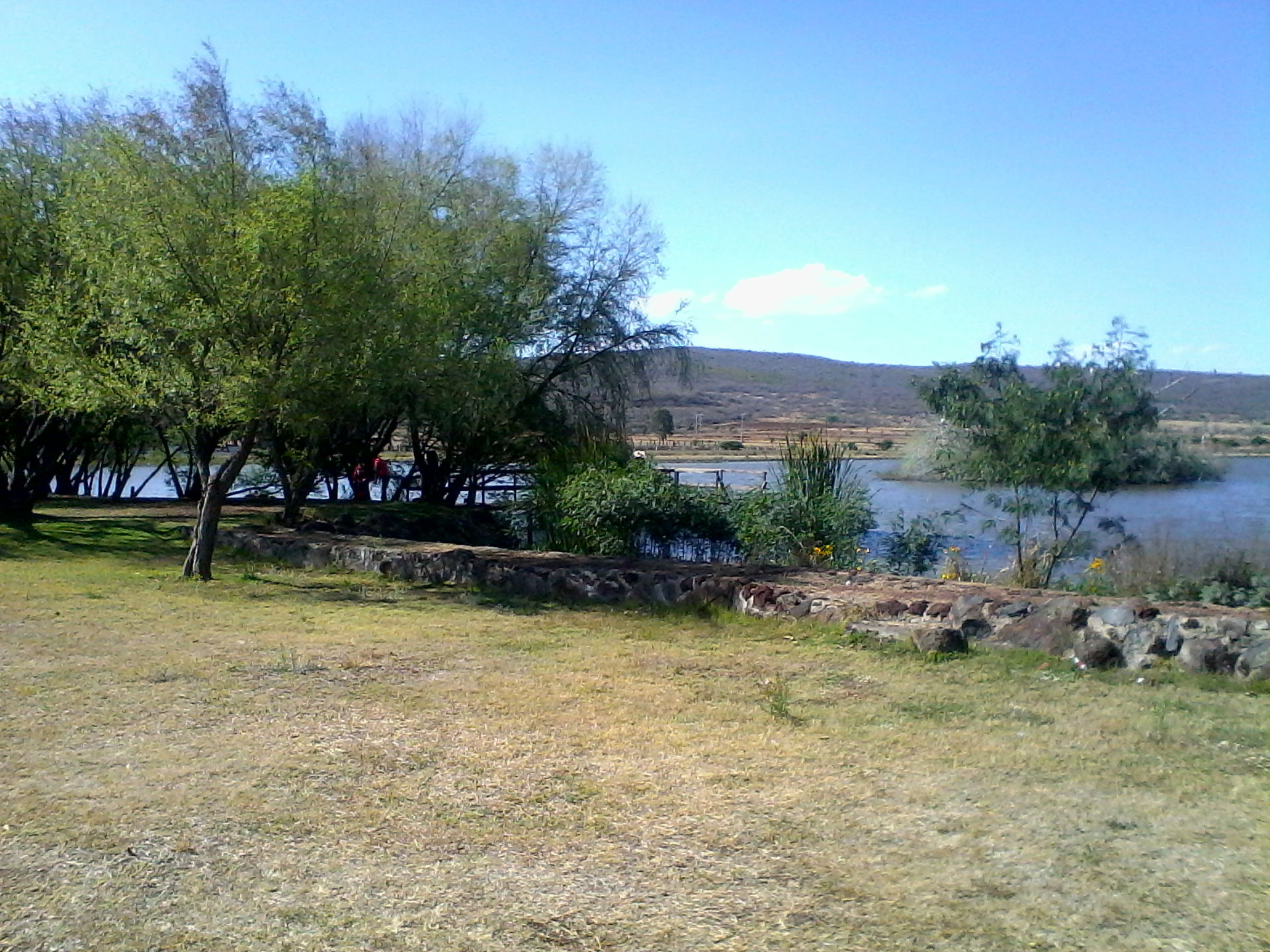 Laguna de El Granjenal, mpio de Puruandiro