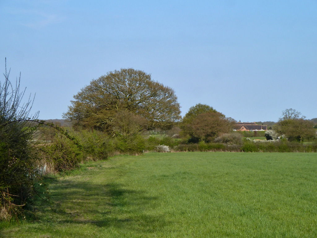 Footpath Billericay 3