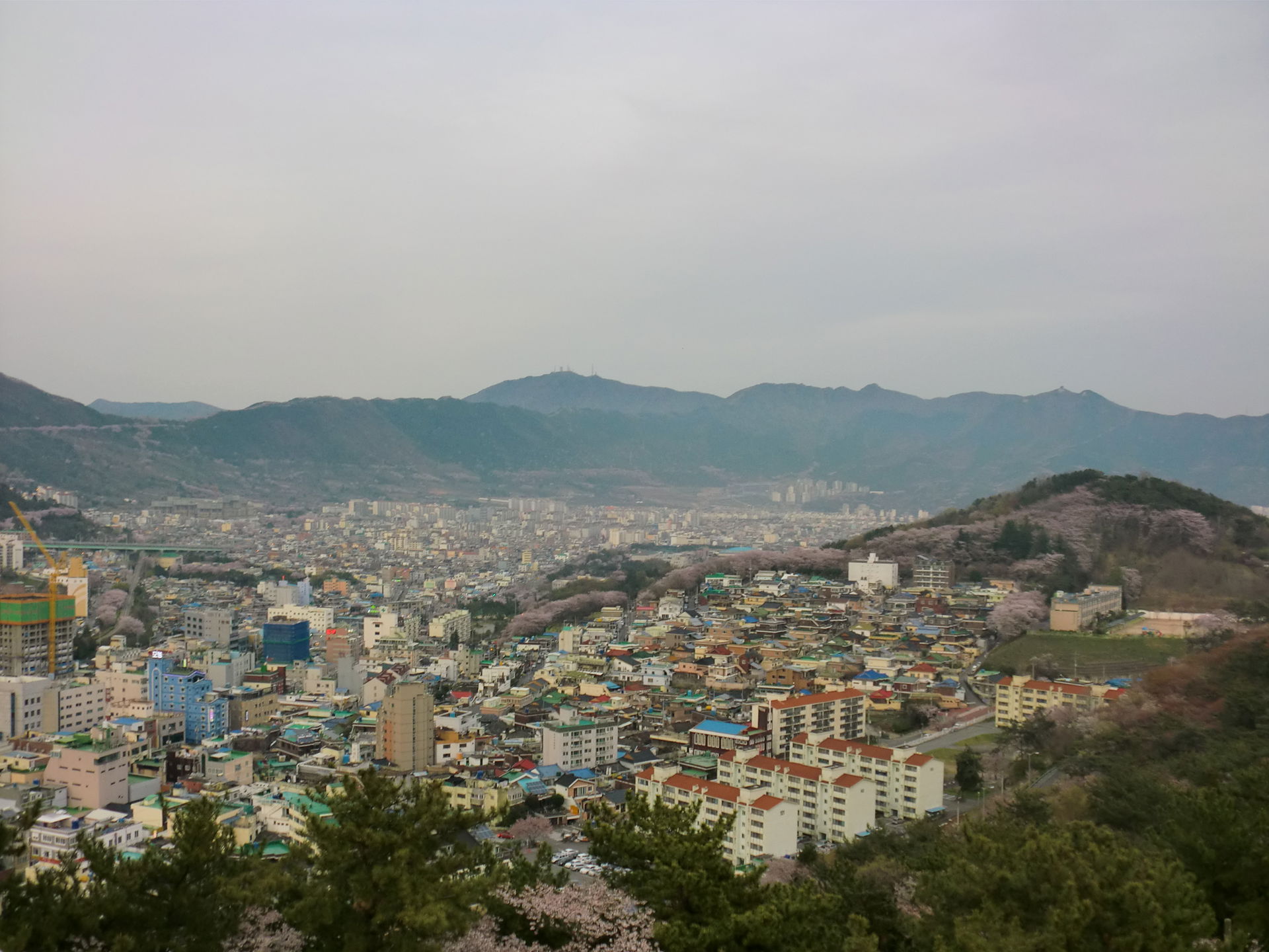 진해탑에서 본 진해구