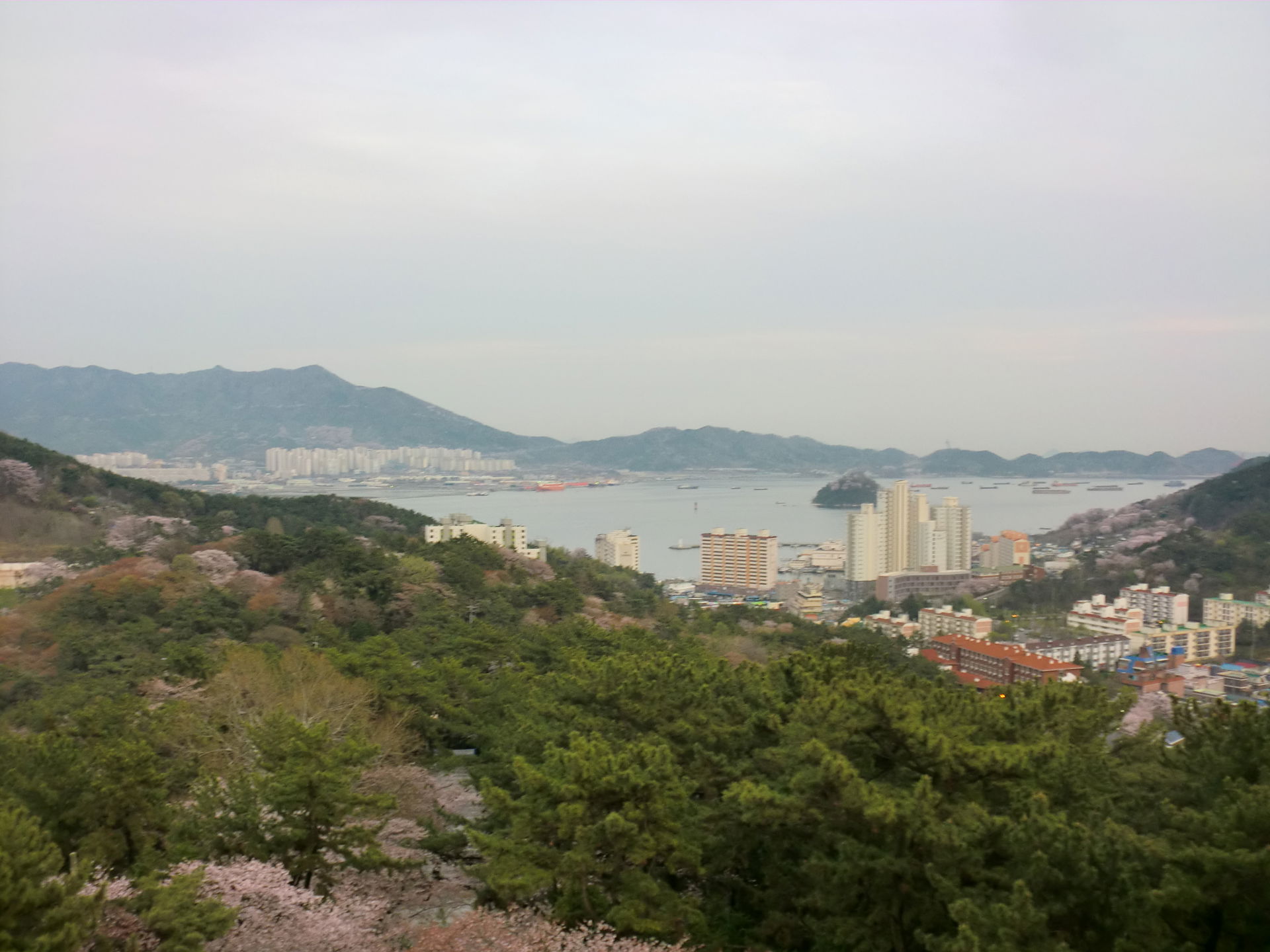 진해탑에서 촬영된 진해구