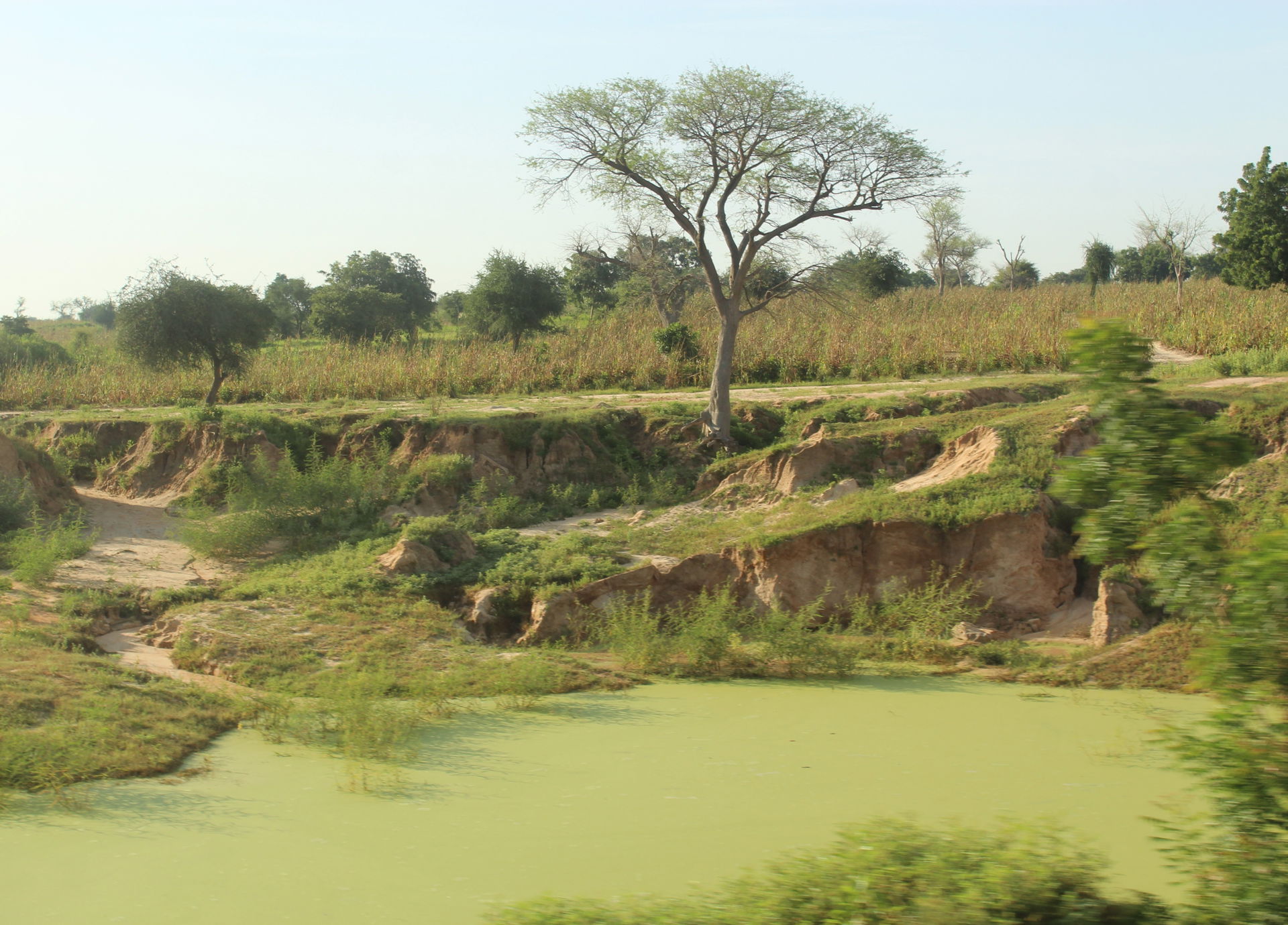 Paysage de Tessaoua