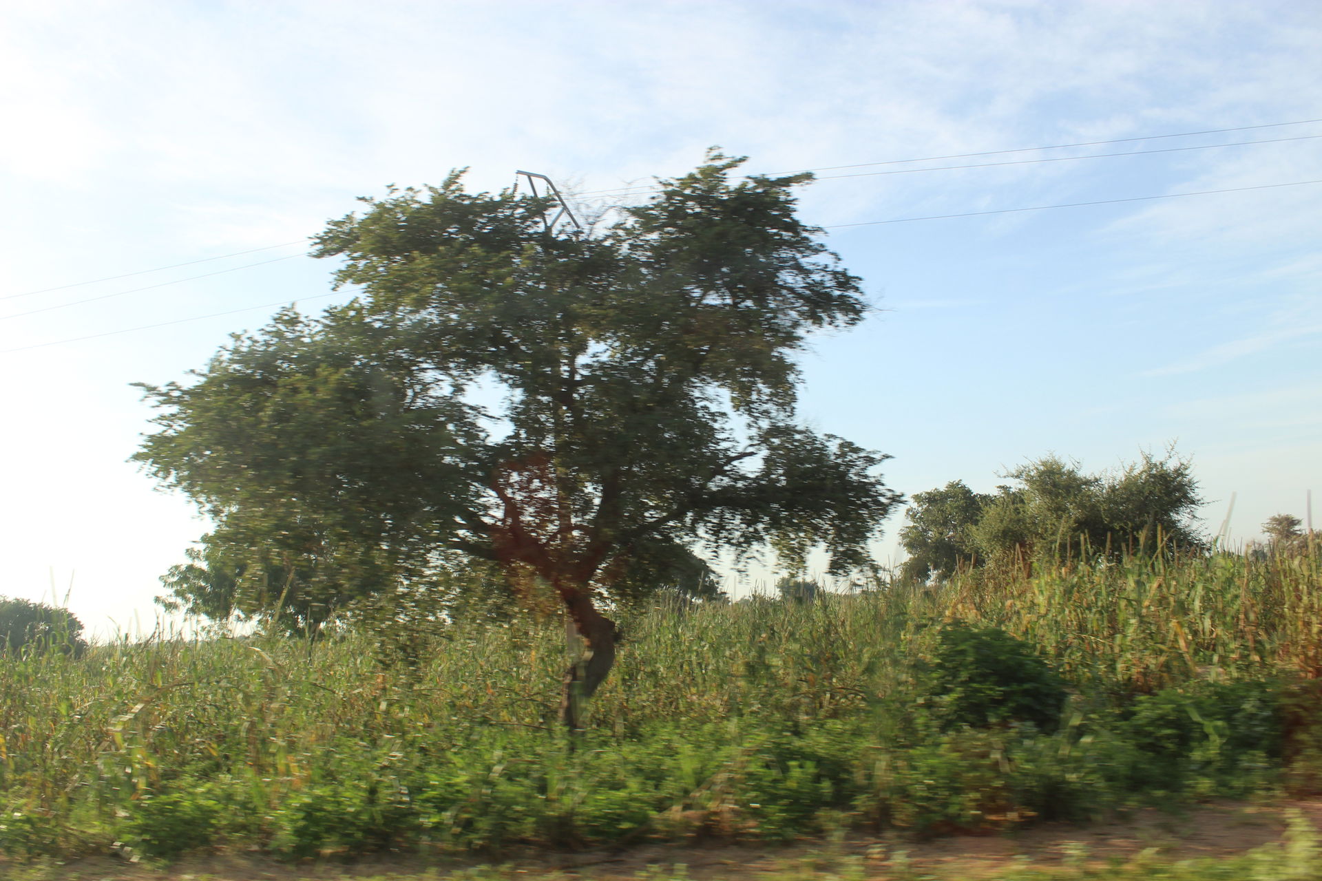 Paysage de Tessaoua