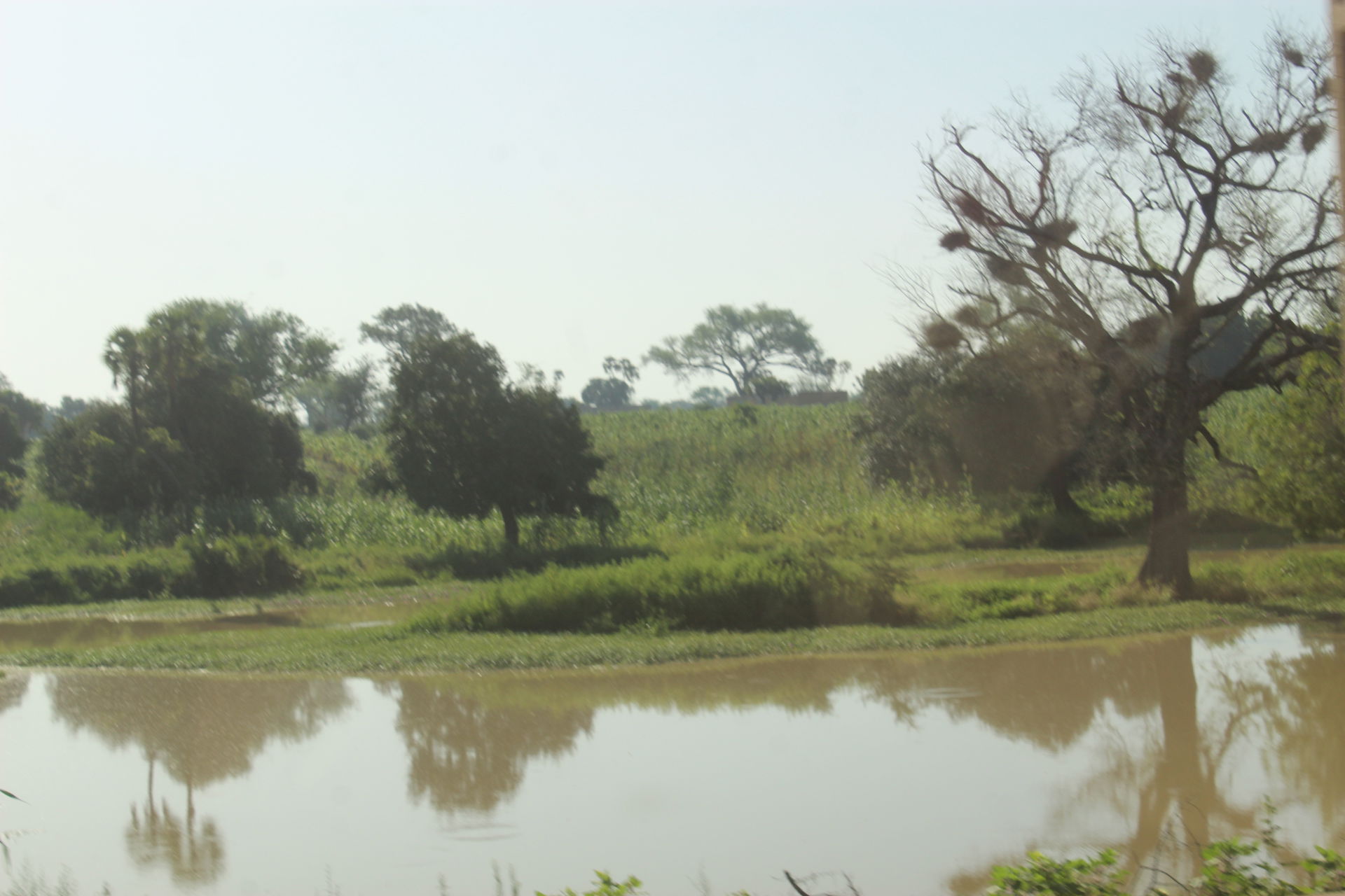 Paysage de Tessaoua