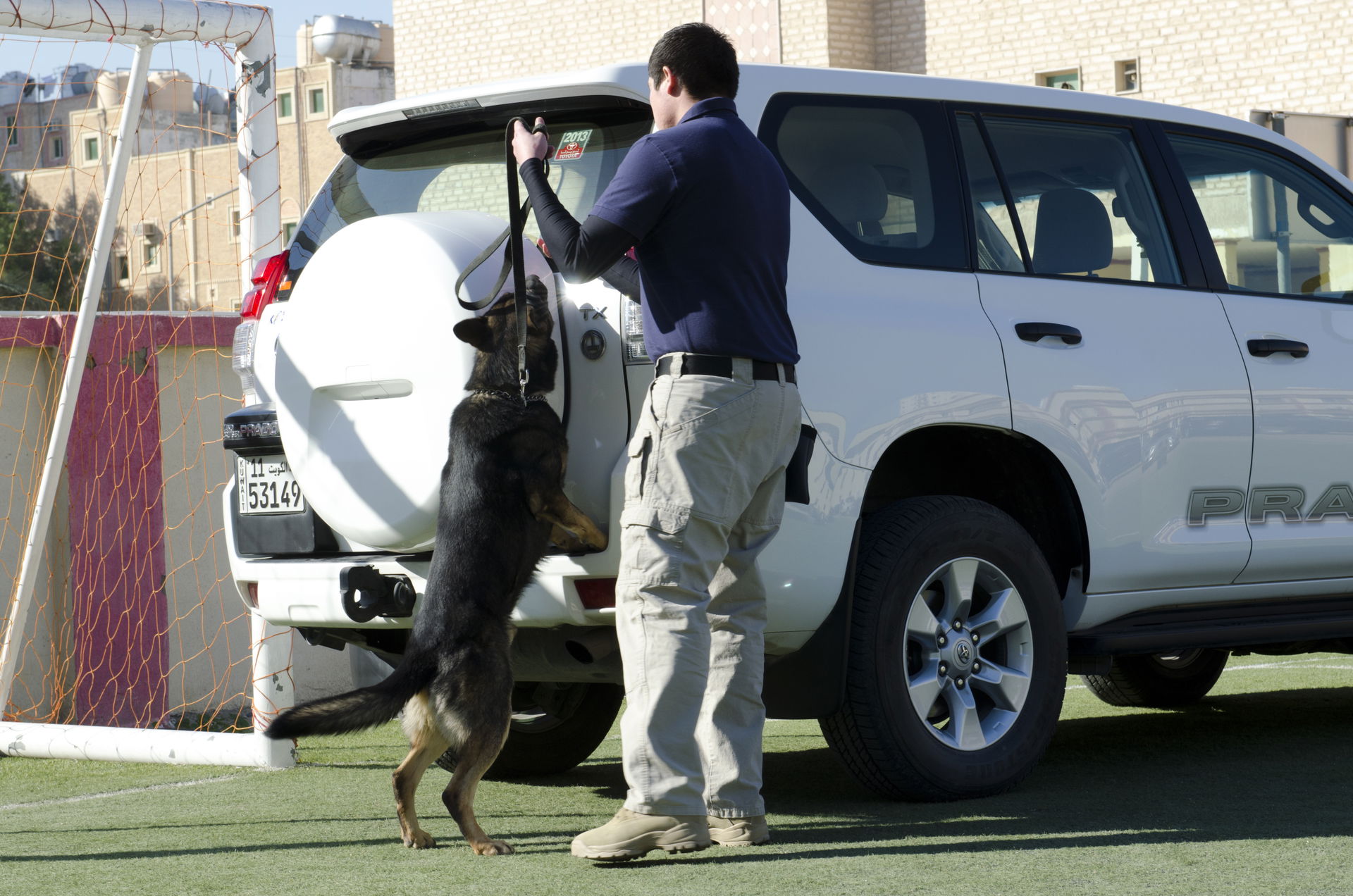 Rex, an explosive ordnance detection dog, searches a sport util…